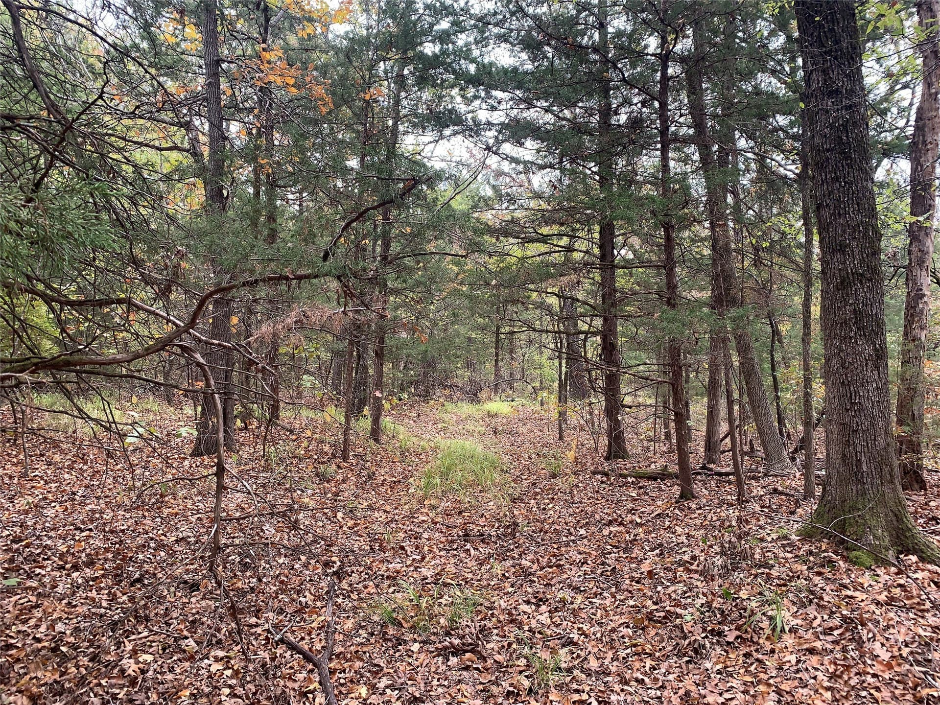 27.03 acres in Fannin County - photo 30