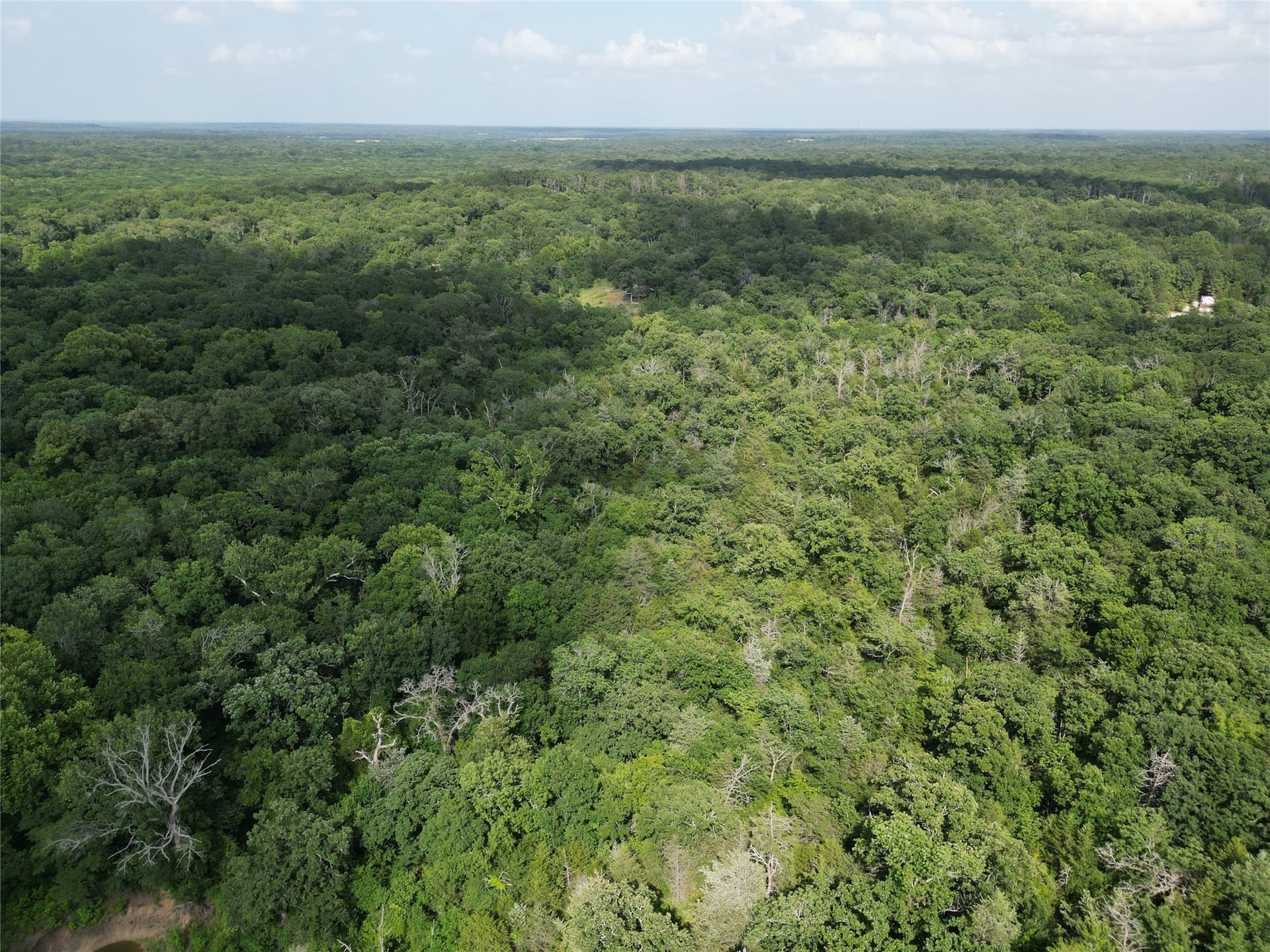 27.03 acres in Fannin County - photo 11