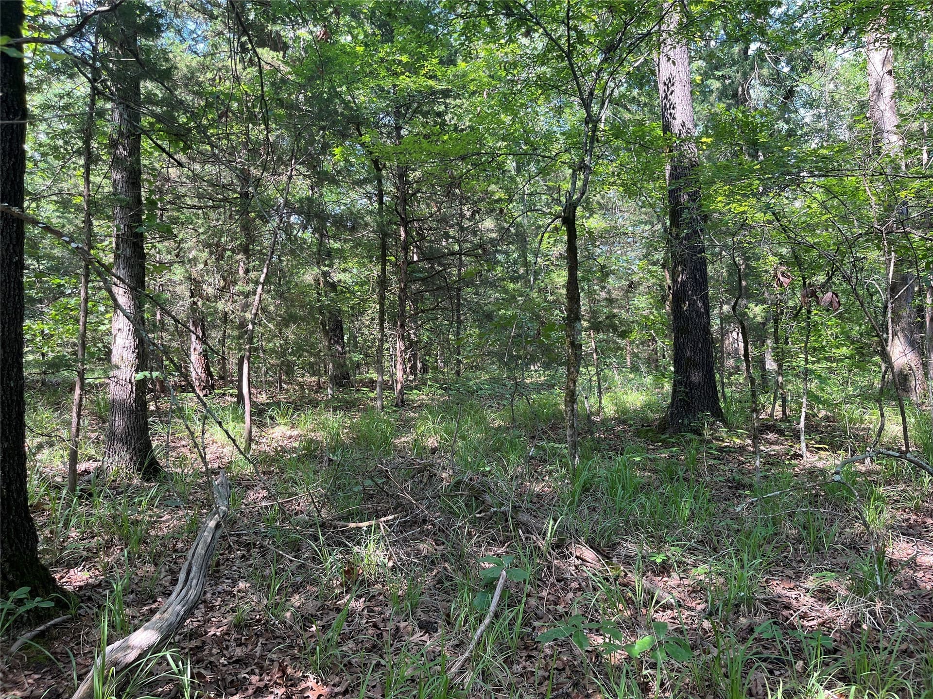 27.03 acres in Fannin County - photo 15