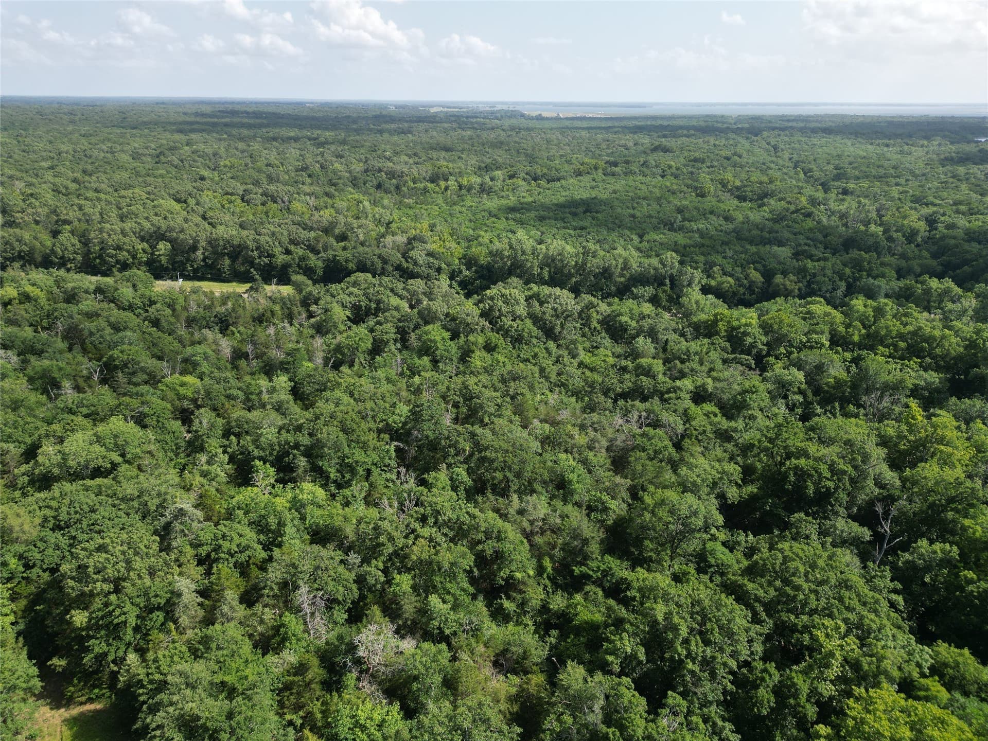 27.03 acres in Fannin County - photo 10