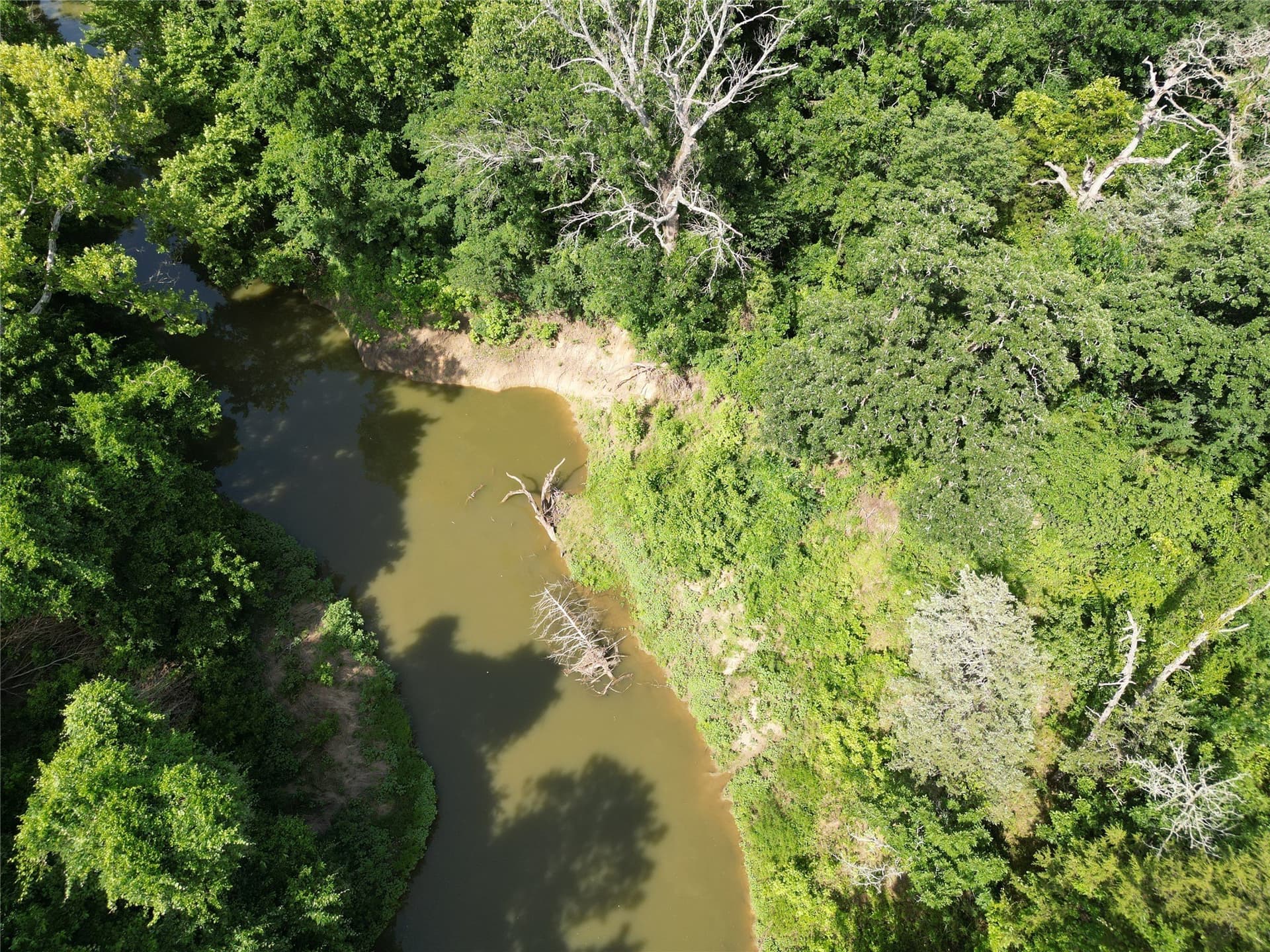 27.03 acres in Fannin County - photo 8