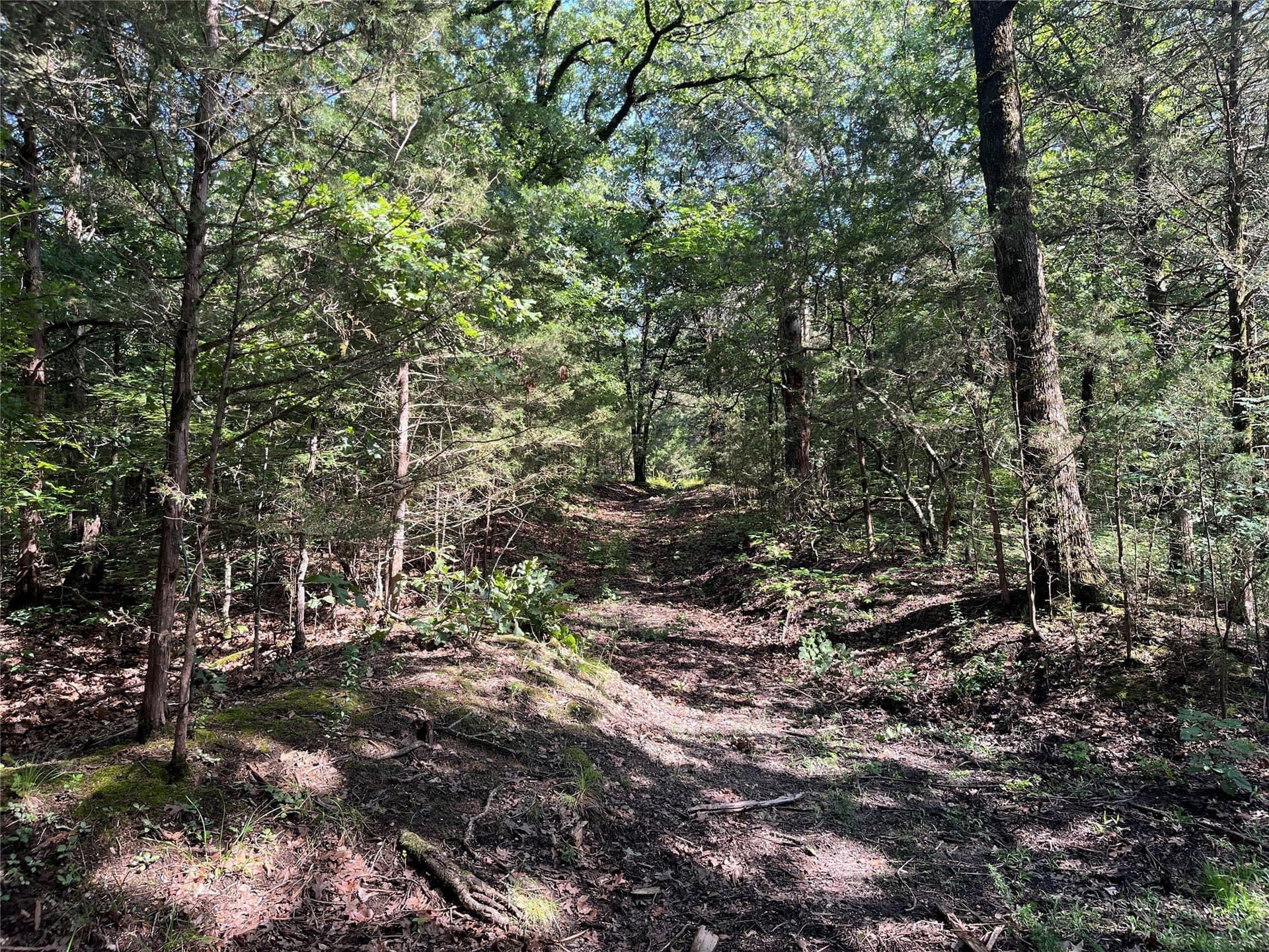 27.03 acres in Fannin County - photo 21
