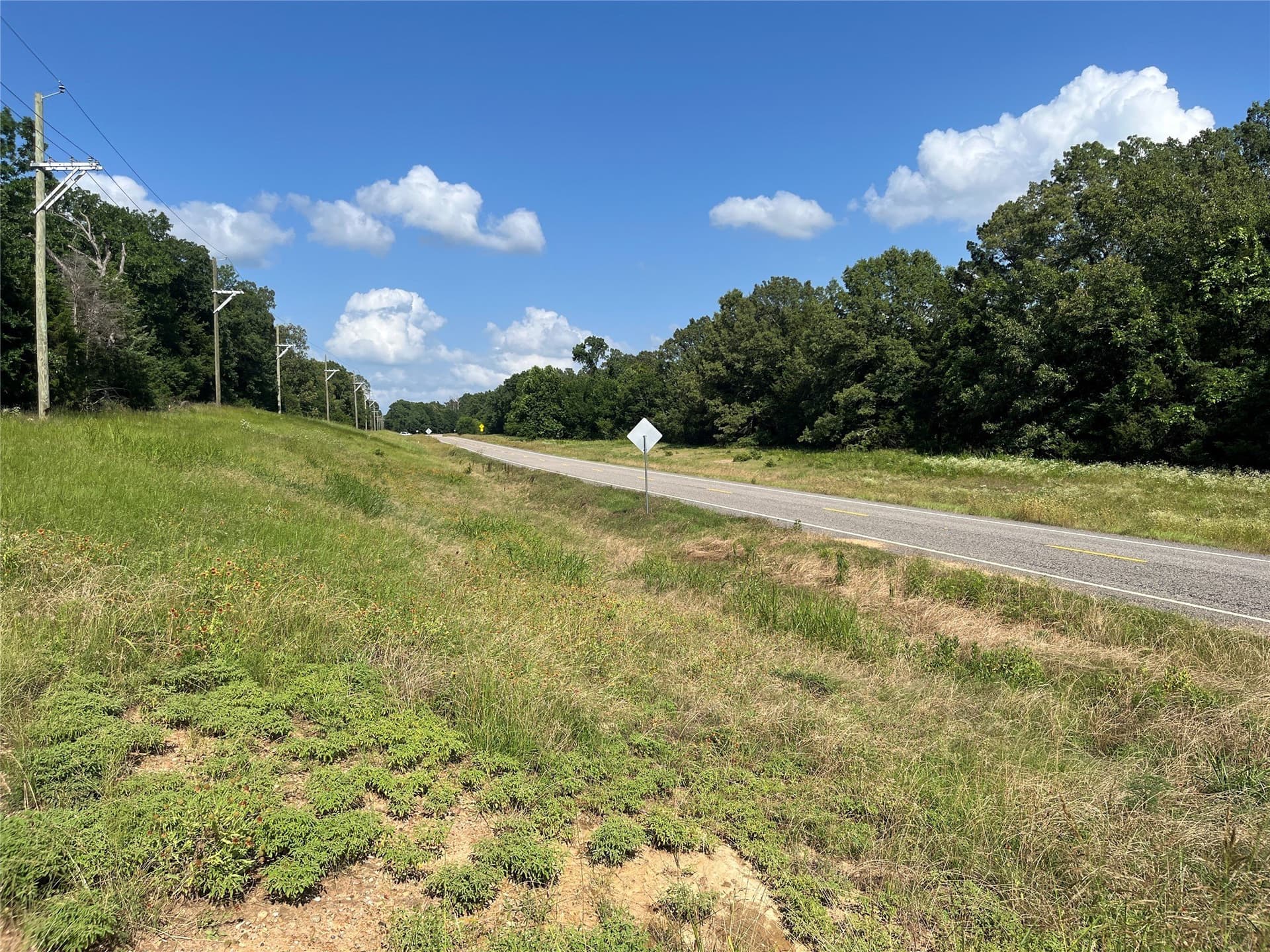 27.03 acres in Fannin County - photo 27