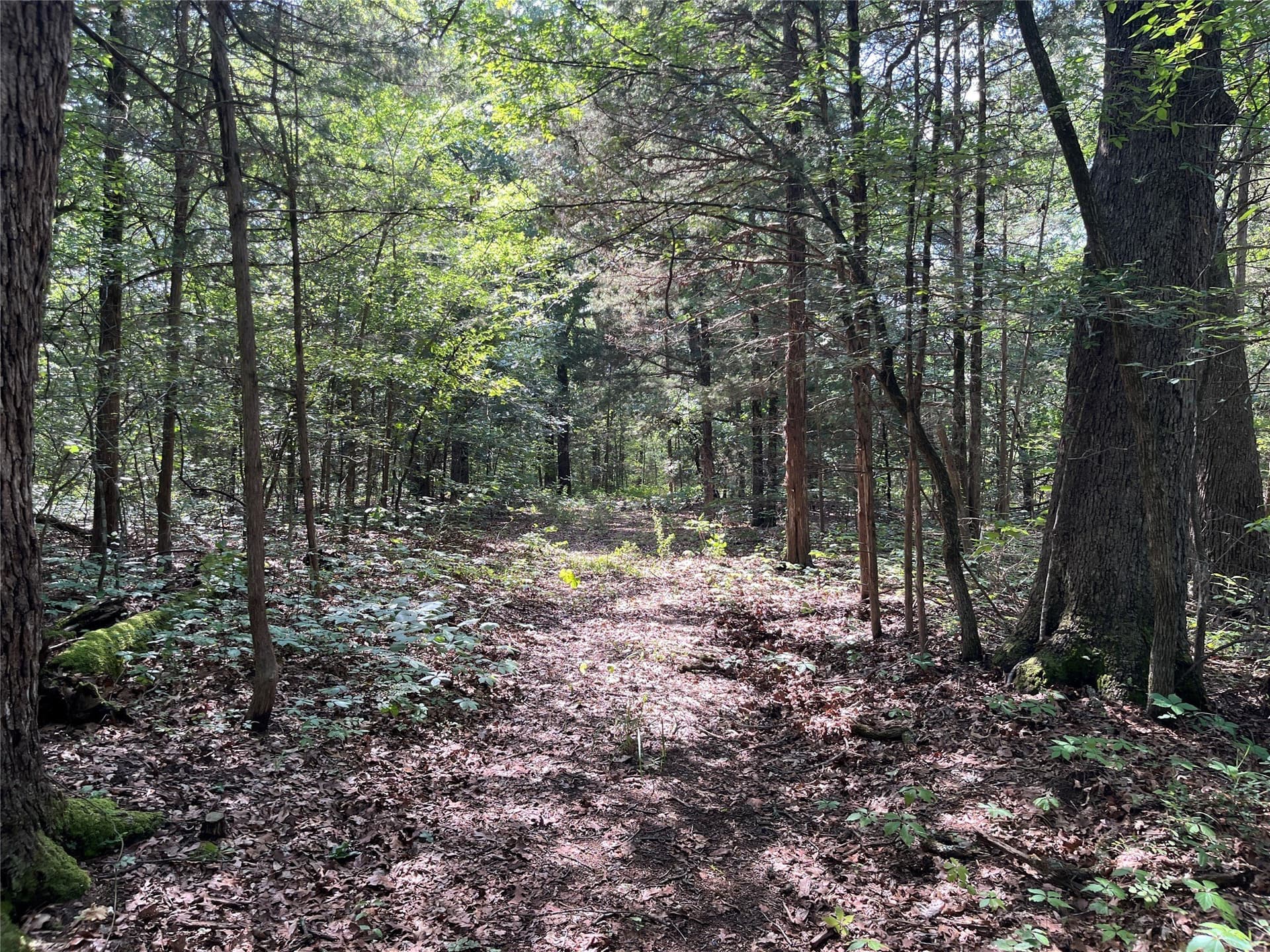 27.03 acres in Fannin County - photo 17