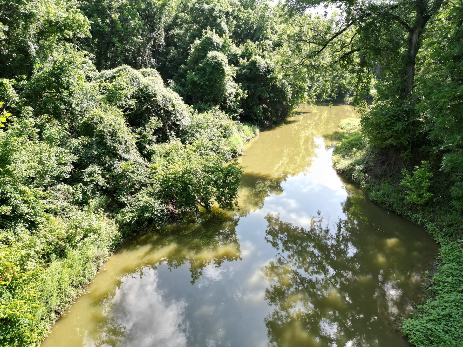 27.03 acres in Fannin County - photo 6