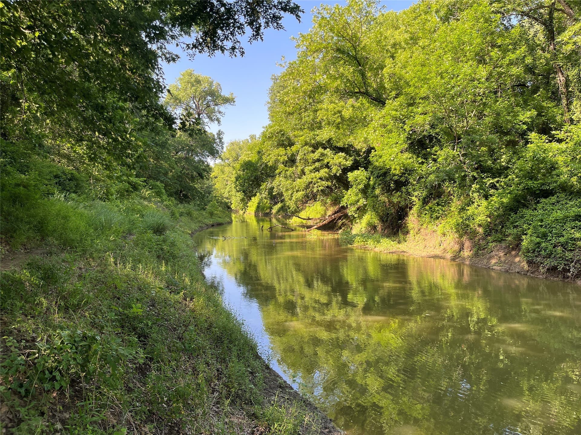27.03 acres in Fannin County - photo 2