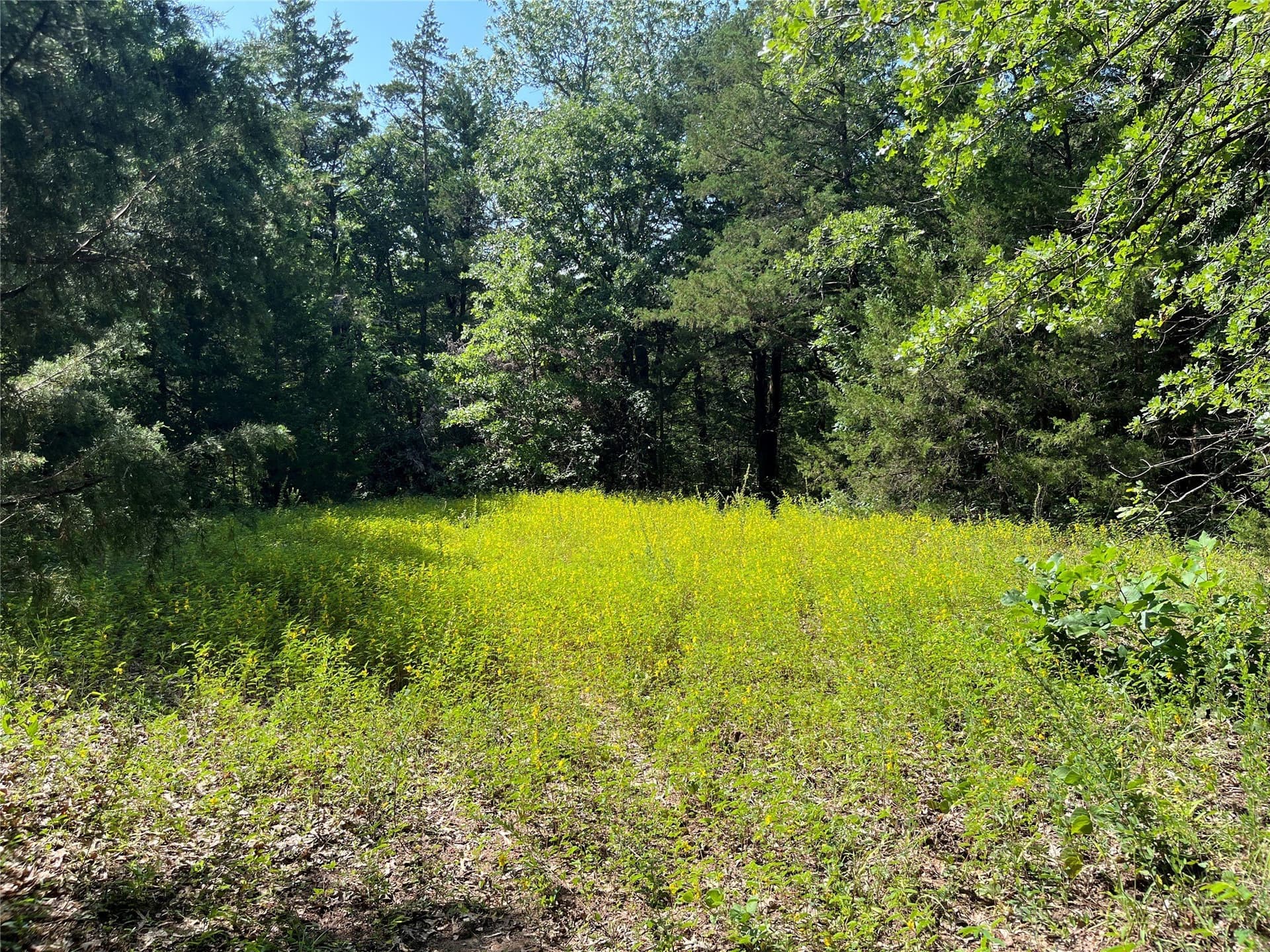 27.03 acres in Fannin County - photo 18