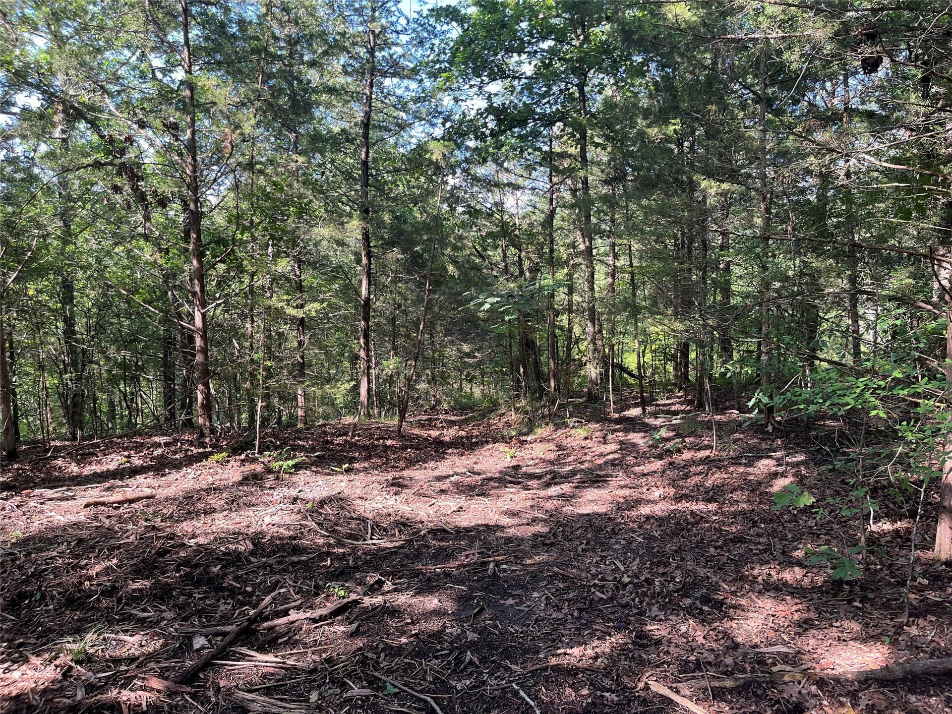 27.03 acres in Fannin County - photo 23