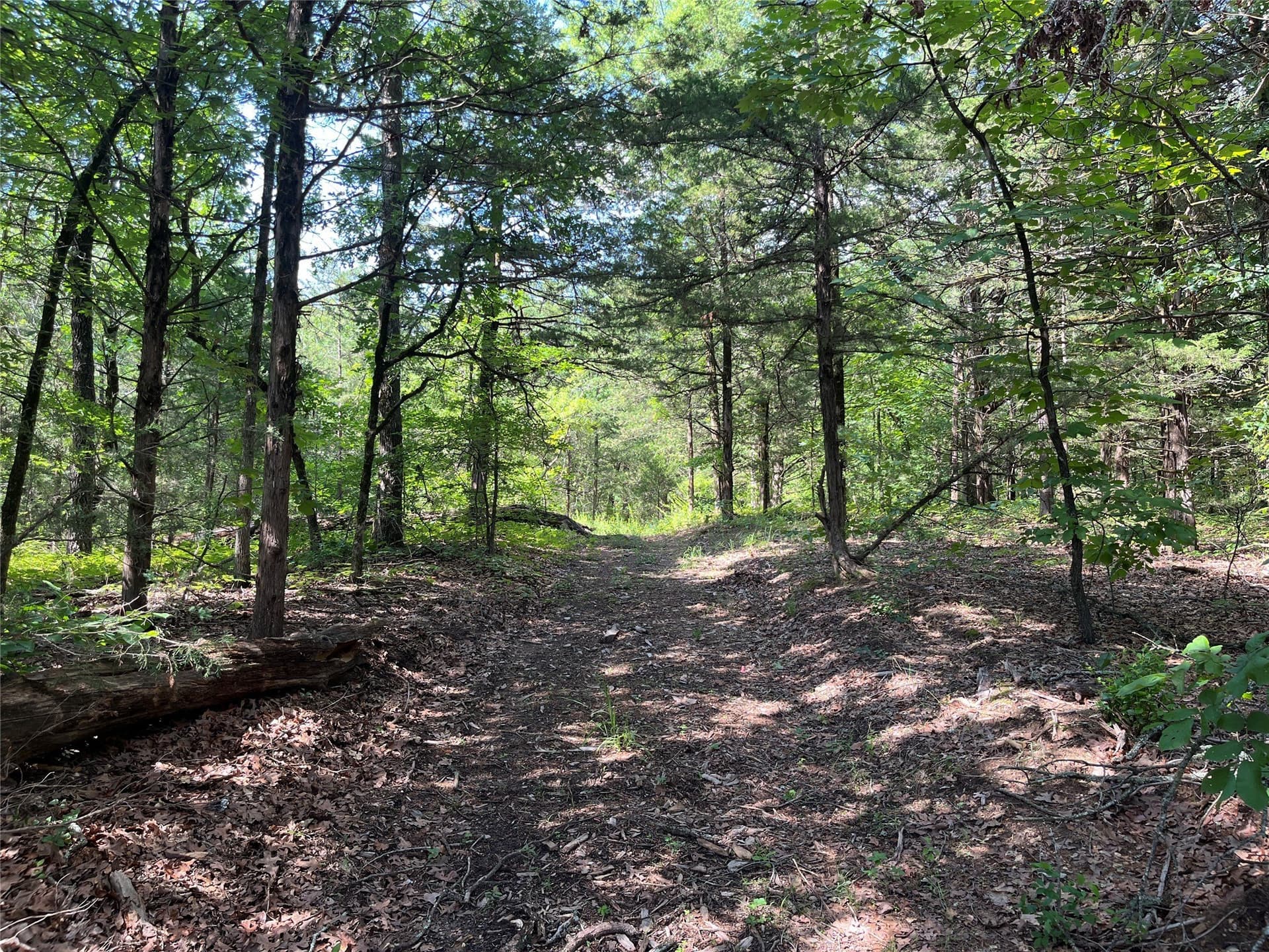 27.03 acres in Fannin County