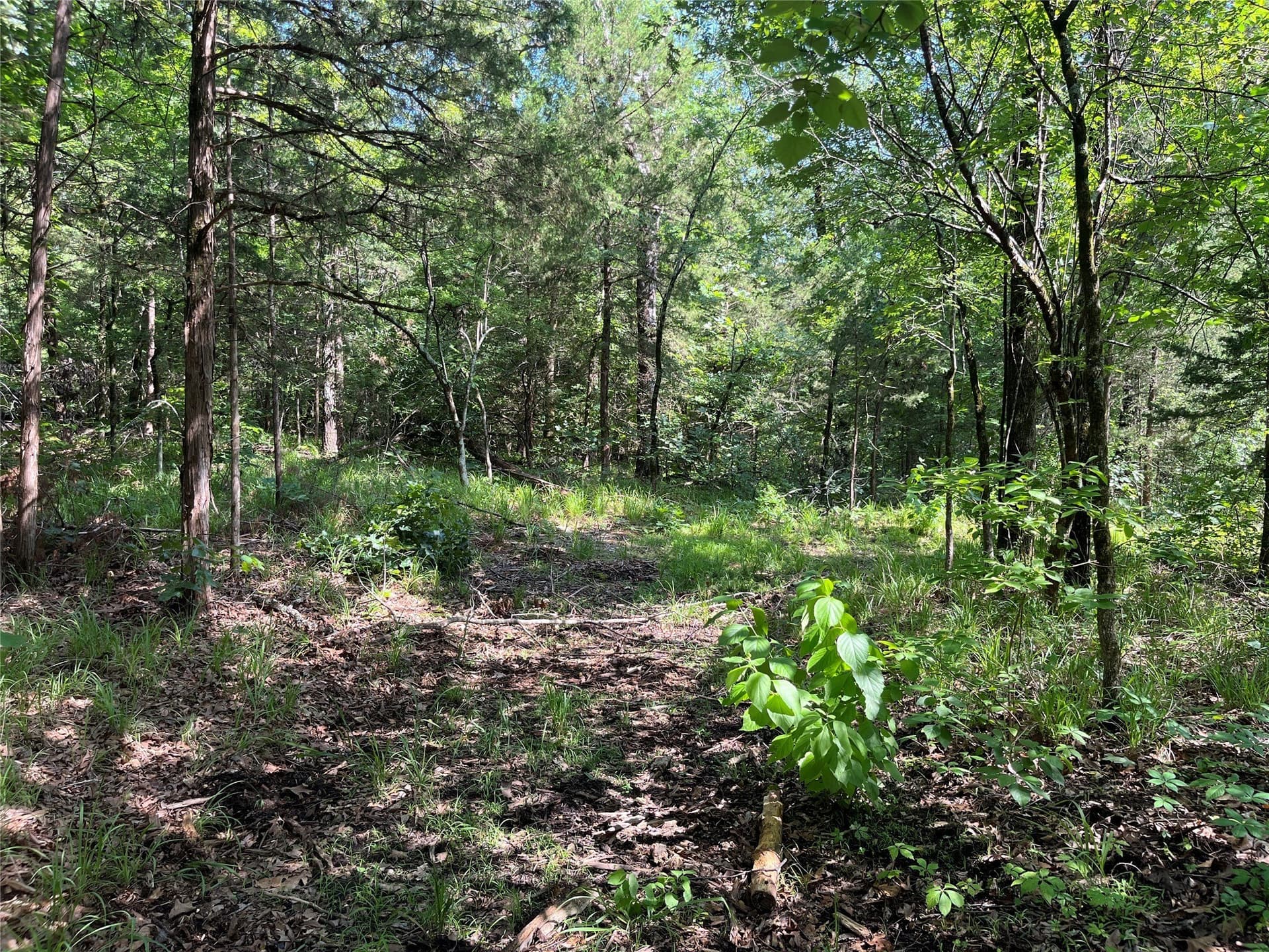 27.03 acres in Fannin County - photo 14