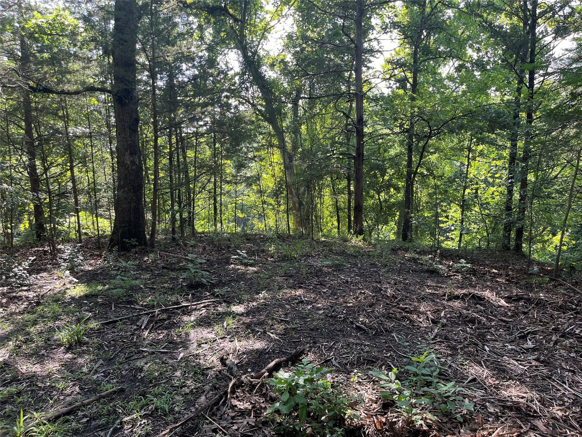 27.03 acres in Fannin County - photo 24