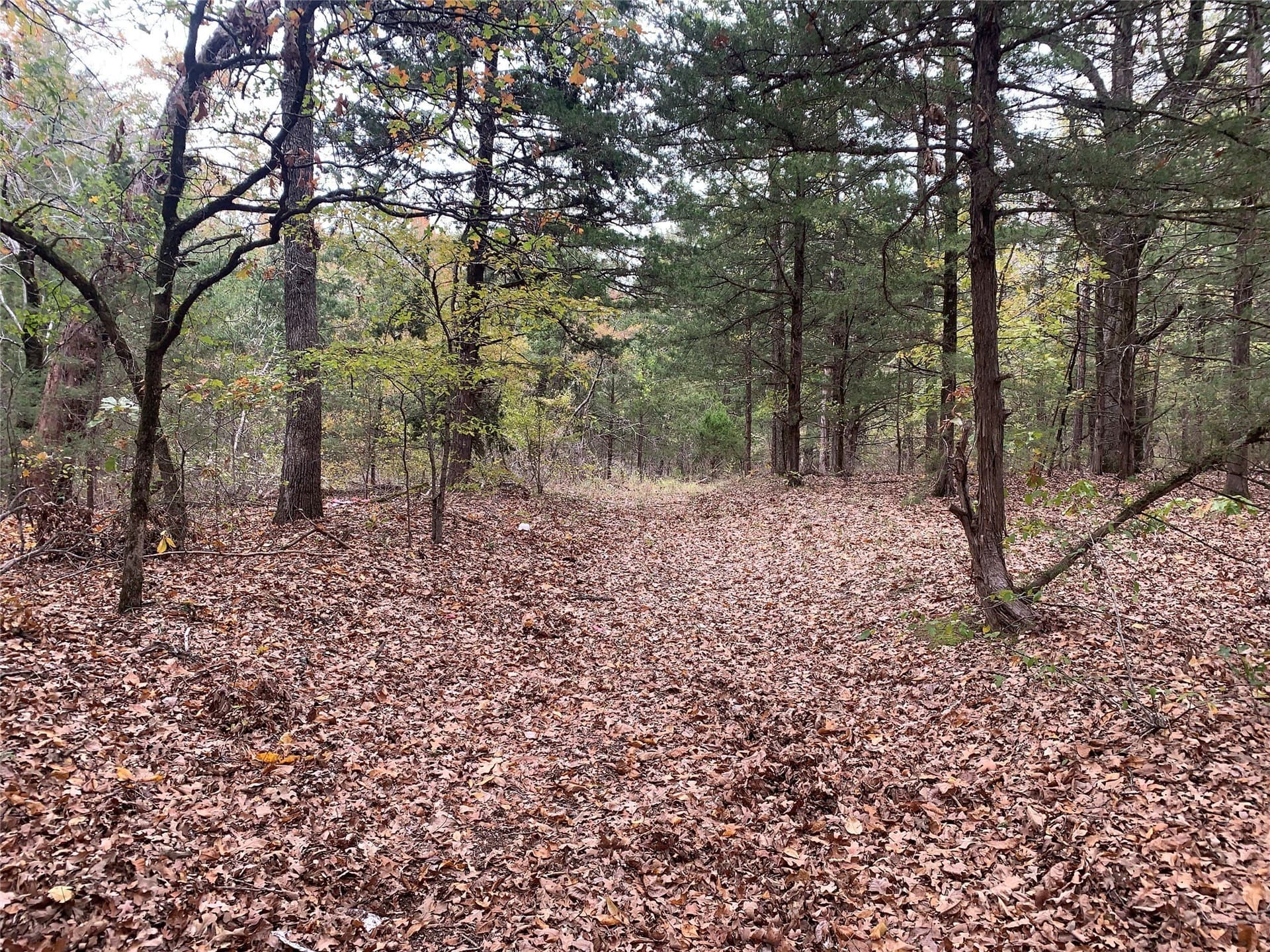 27.03 acres in Fannin County - photo 4