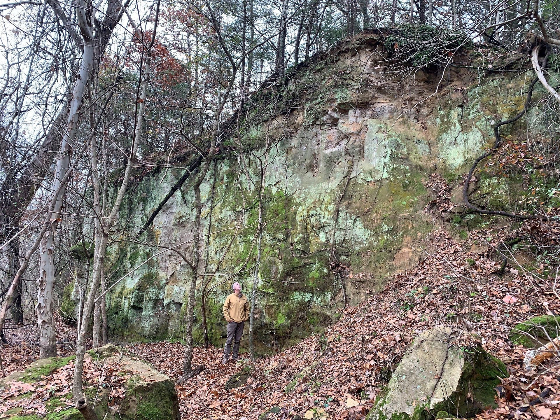 27.03 acres in Fannin County - photo 34