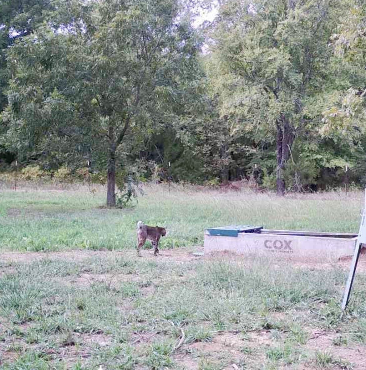 10.5 acres in Cooke County - photo 38