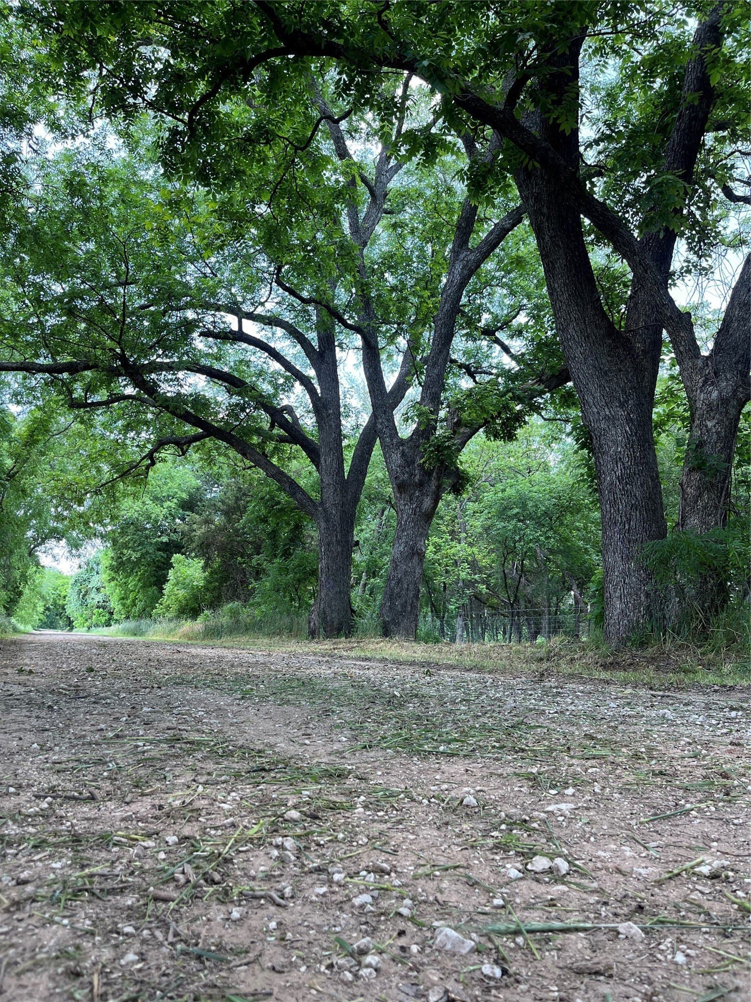 10.5 acres in Cooke County - photo 26