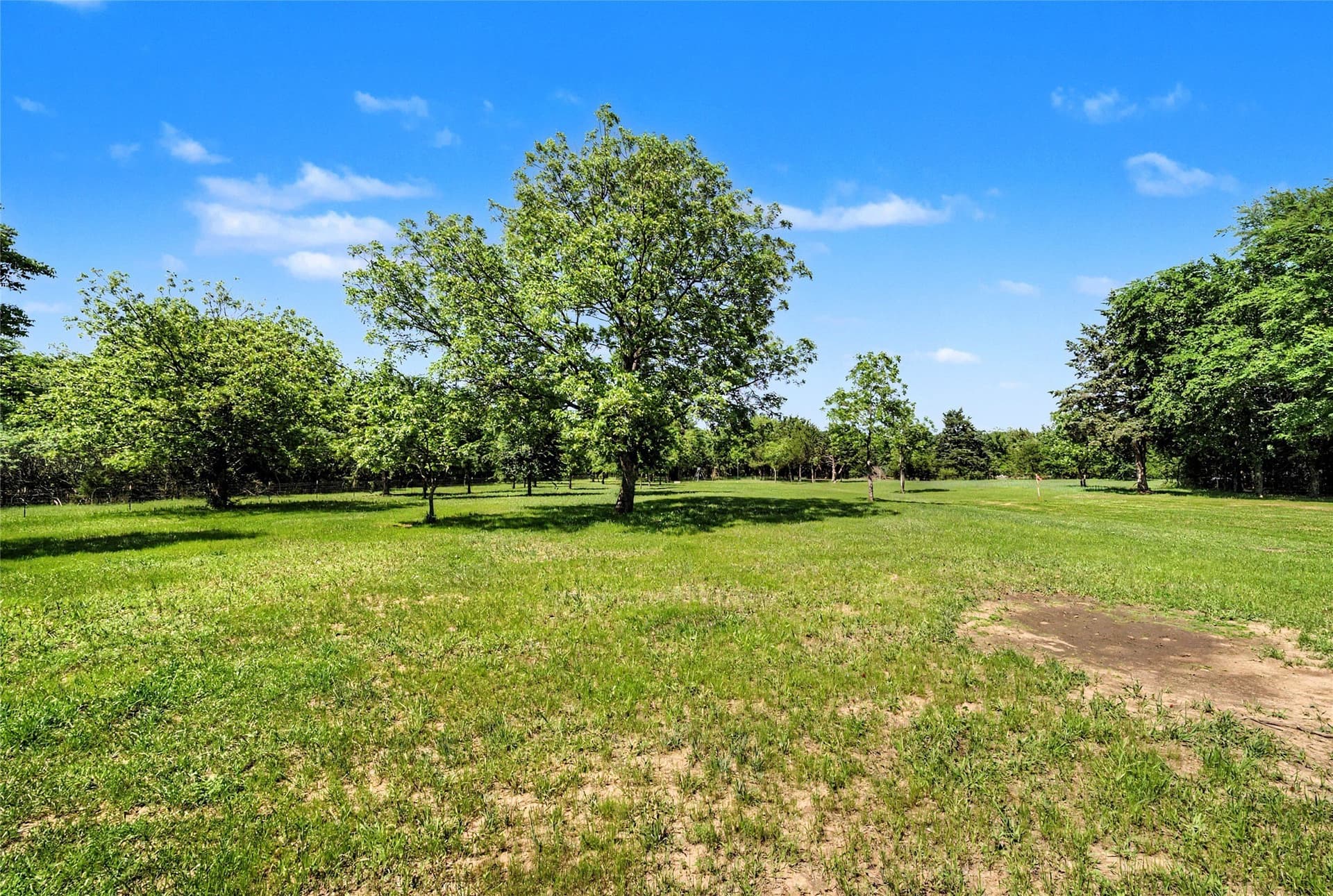 10.5 acres in Cooke County - photo 18