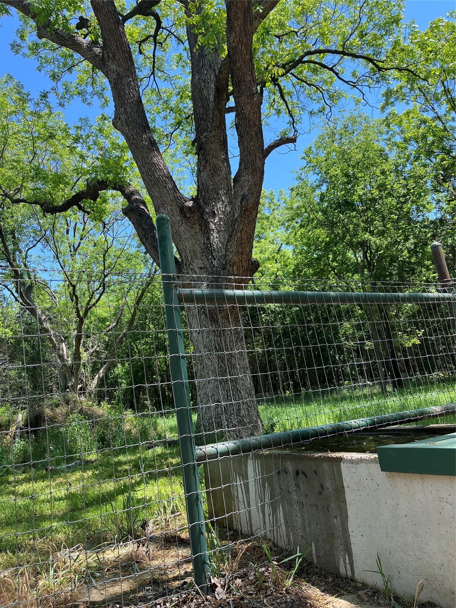 10.5 acres in Cooke County - photo 29