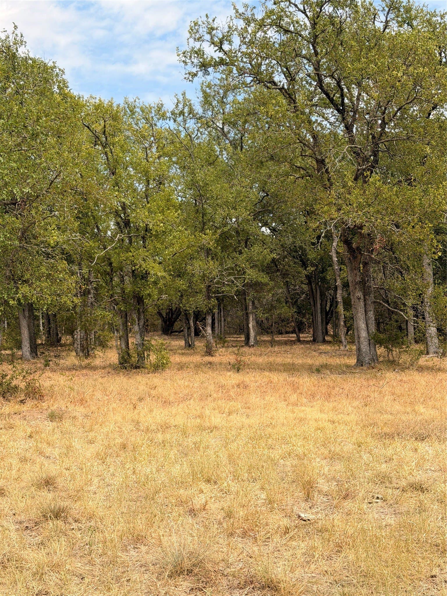 10.01 acres in Hamilton County - photo 11