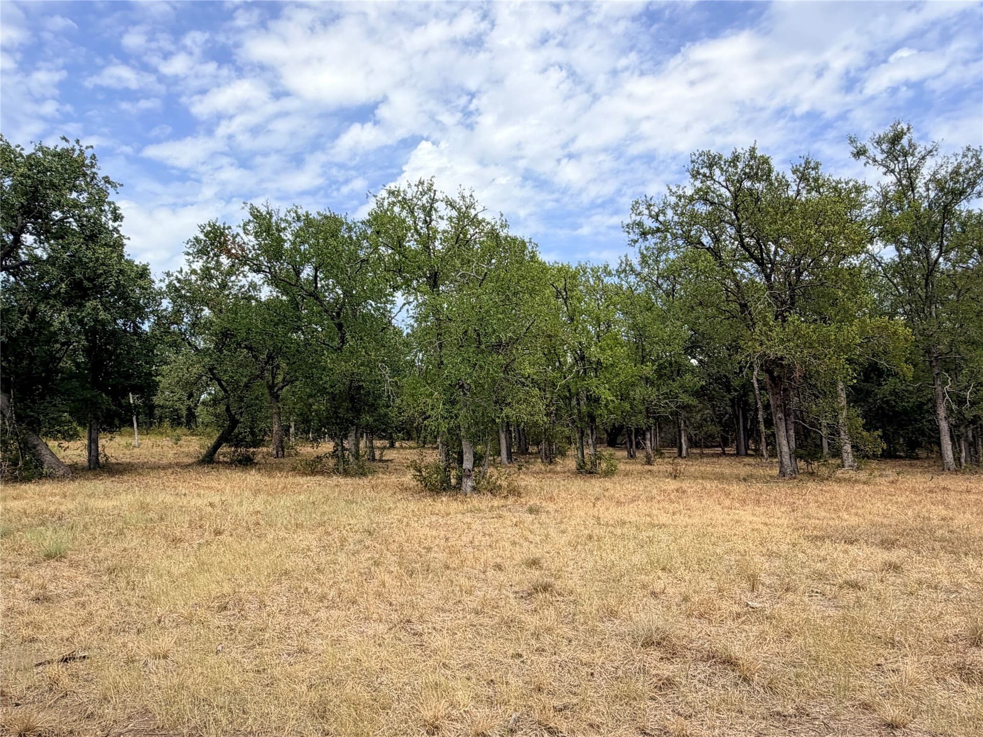 10.01 acres in Hamilton County - photo 9
