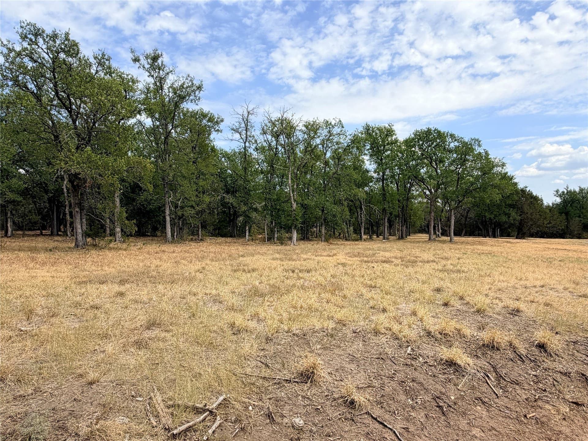 10.01 acres in Hamilton County - photo 7