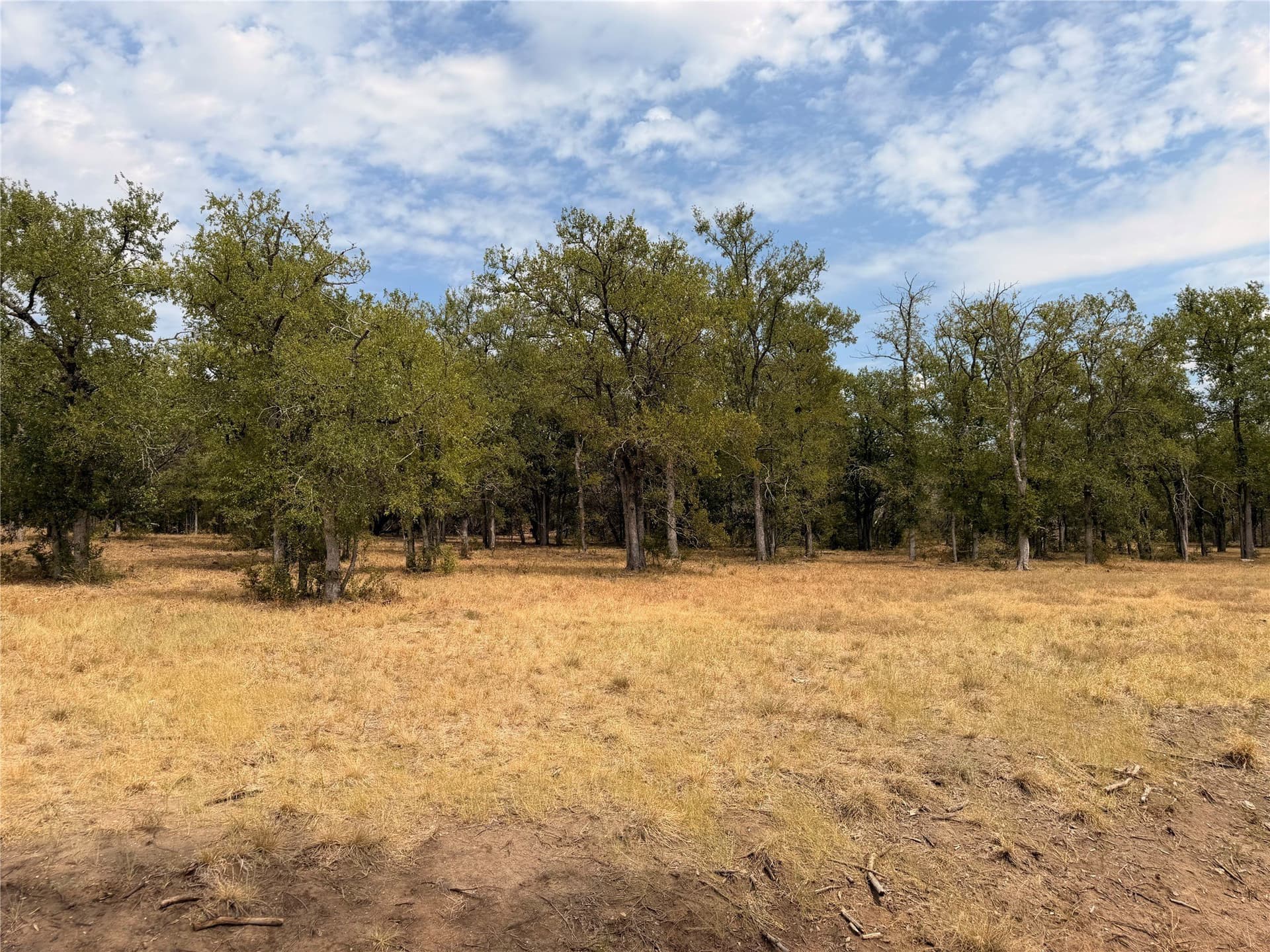 10.01 acres in Hamilton County - photo 8