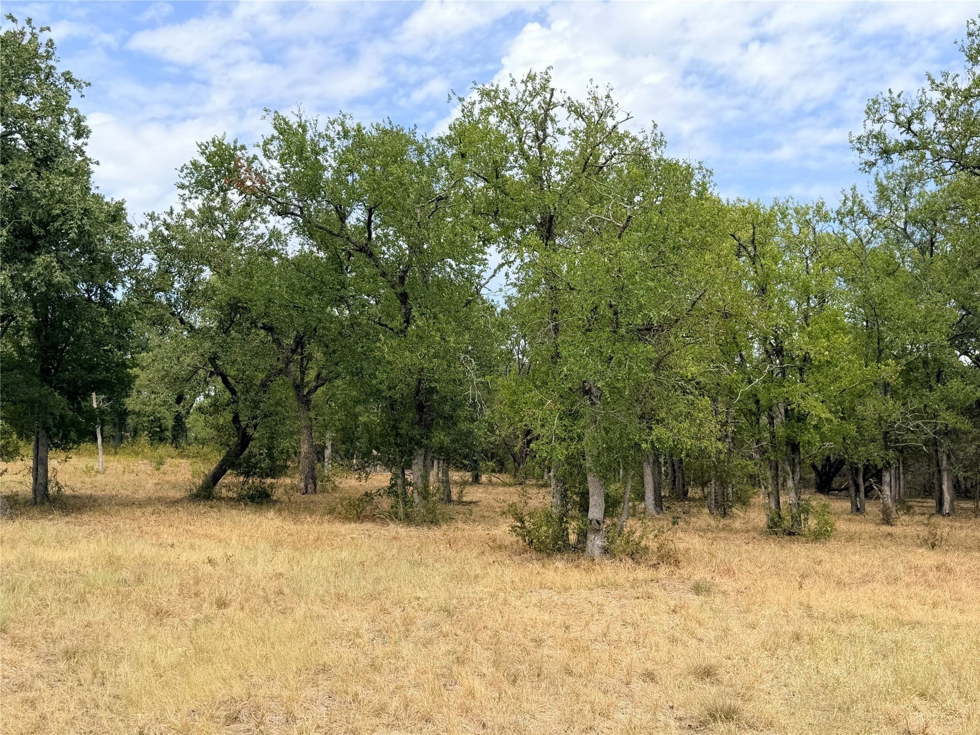 10.01 acres in Hamilton County - photo 10