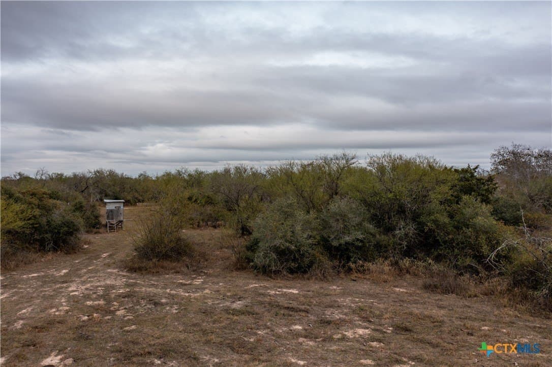 40 acres in Victoria County featured view