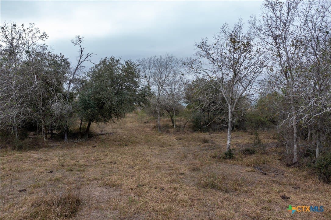 40 acres in Victoria County gallery image 3