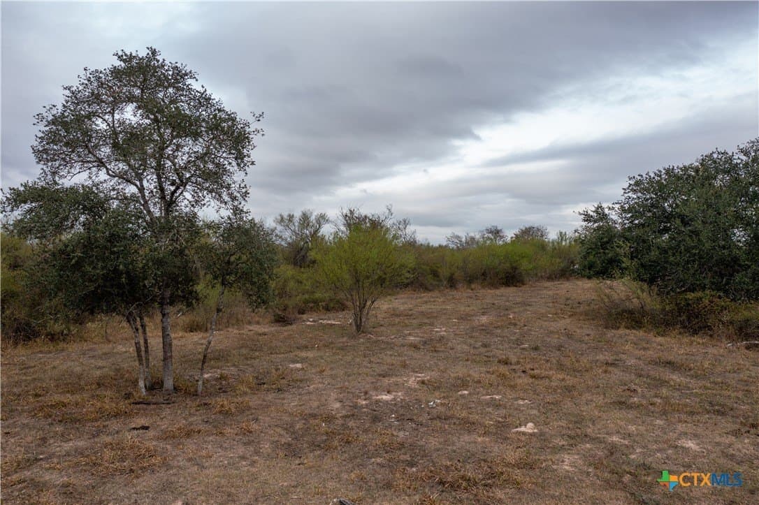 40 acres in Victoria County gallery image 4