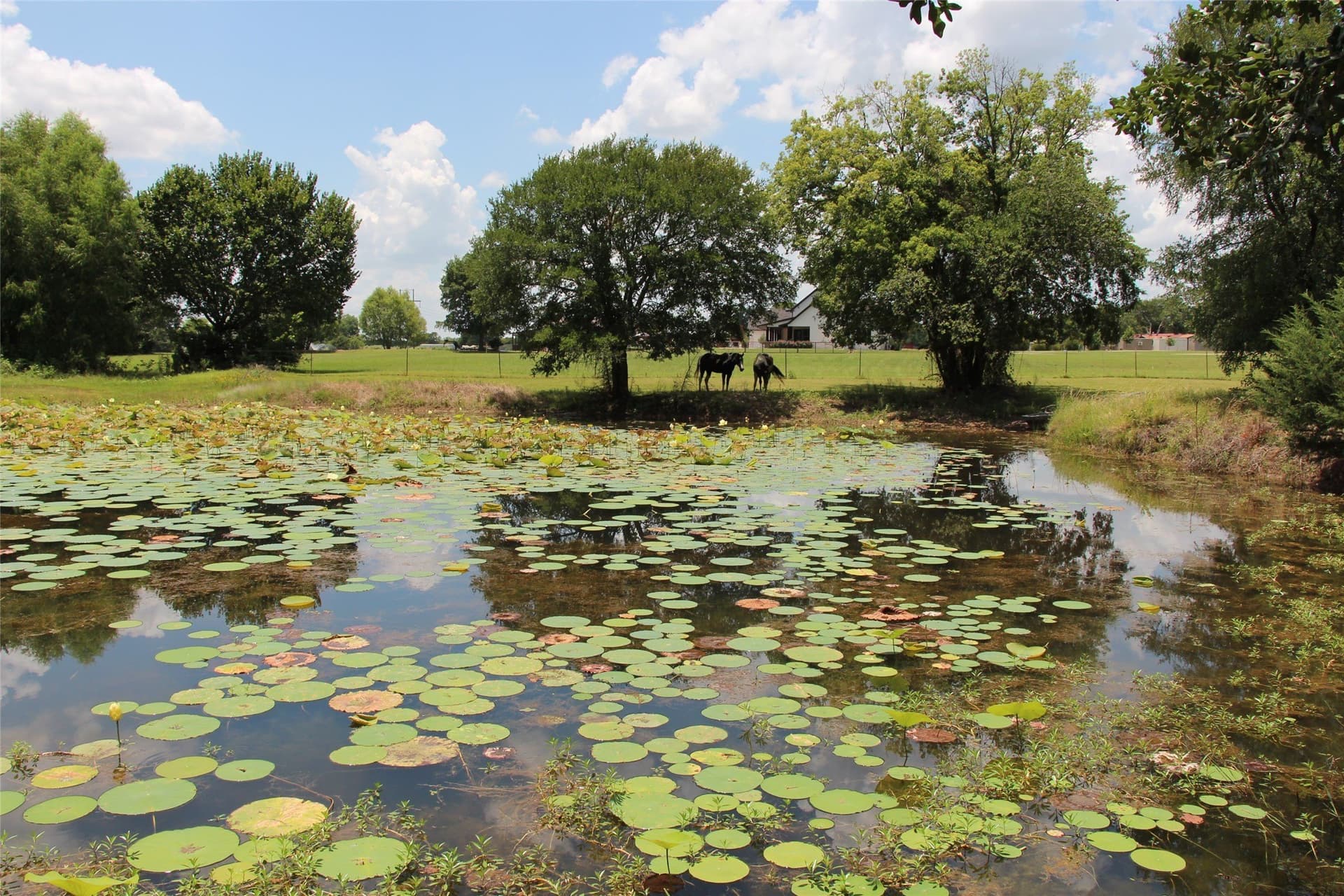 17.4 acres in Fannin County - photo 20