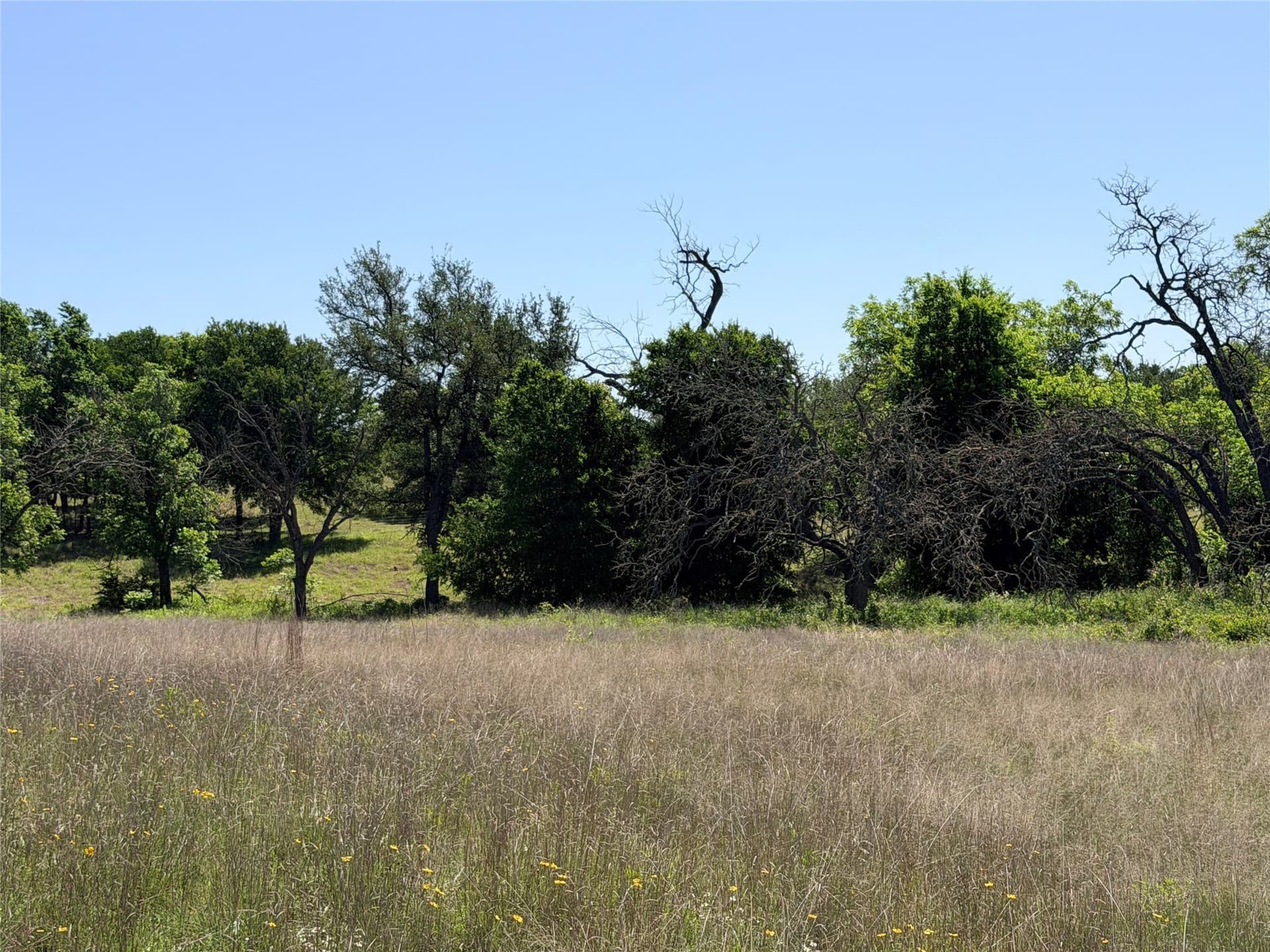 17.1 acres in Mills County gallery image 4