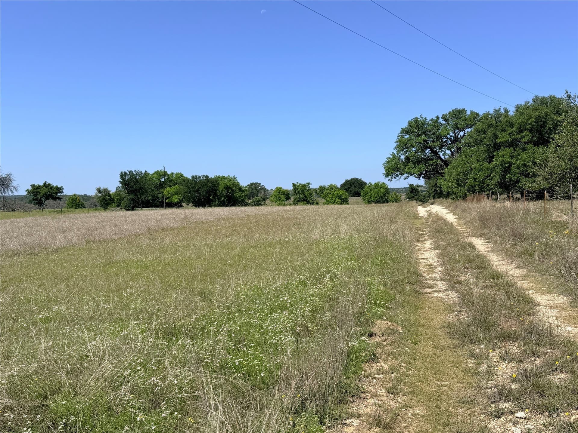 17.1 acres in Mills County - photo 11