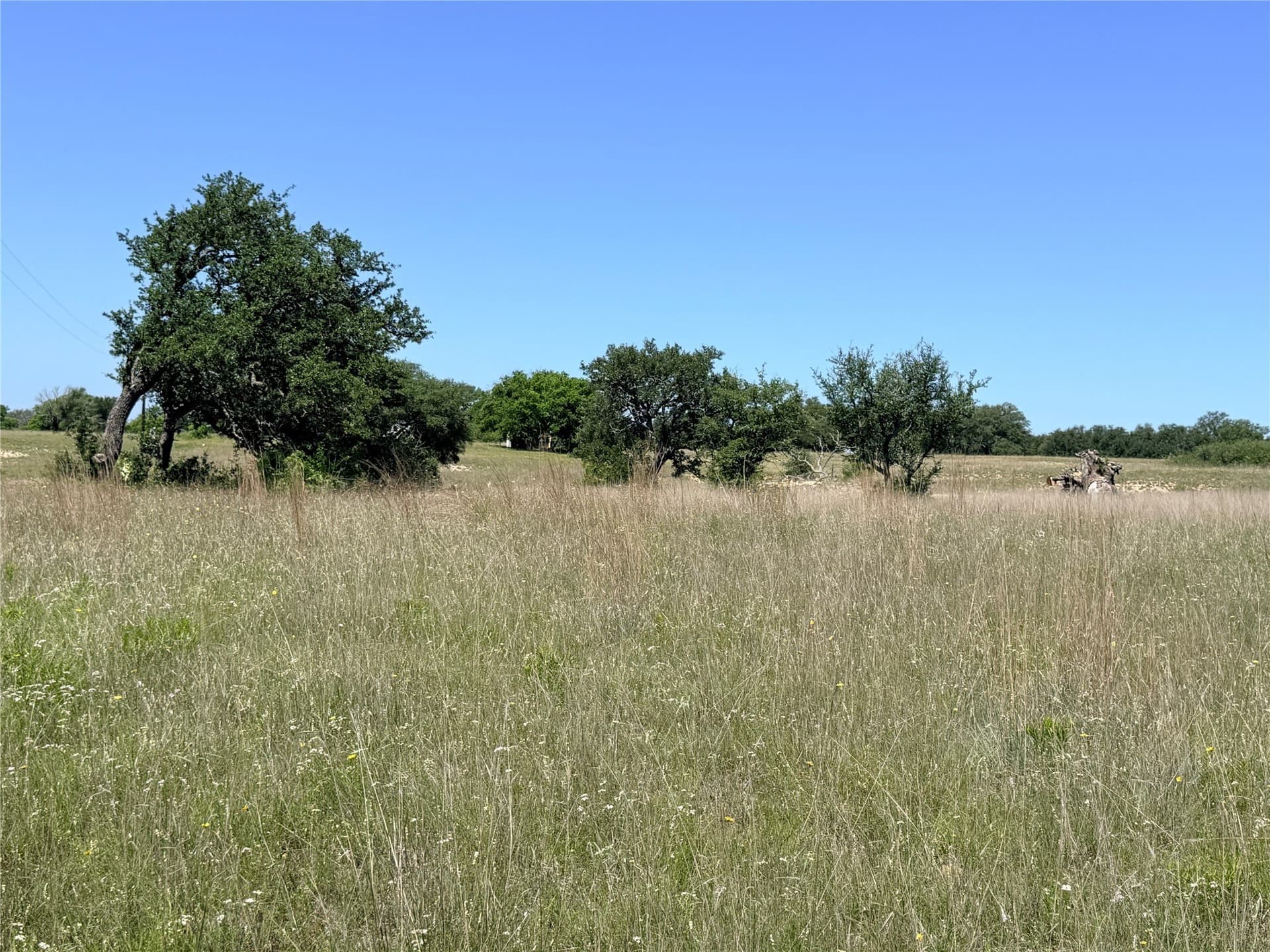 17.1 acres in Mills County - photo 8