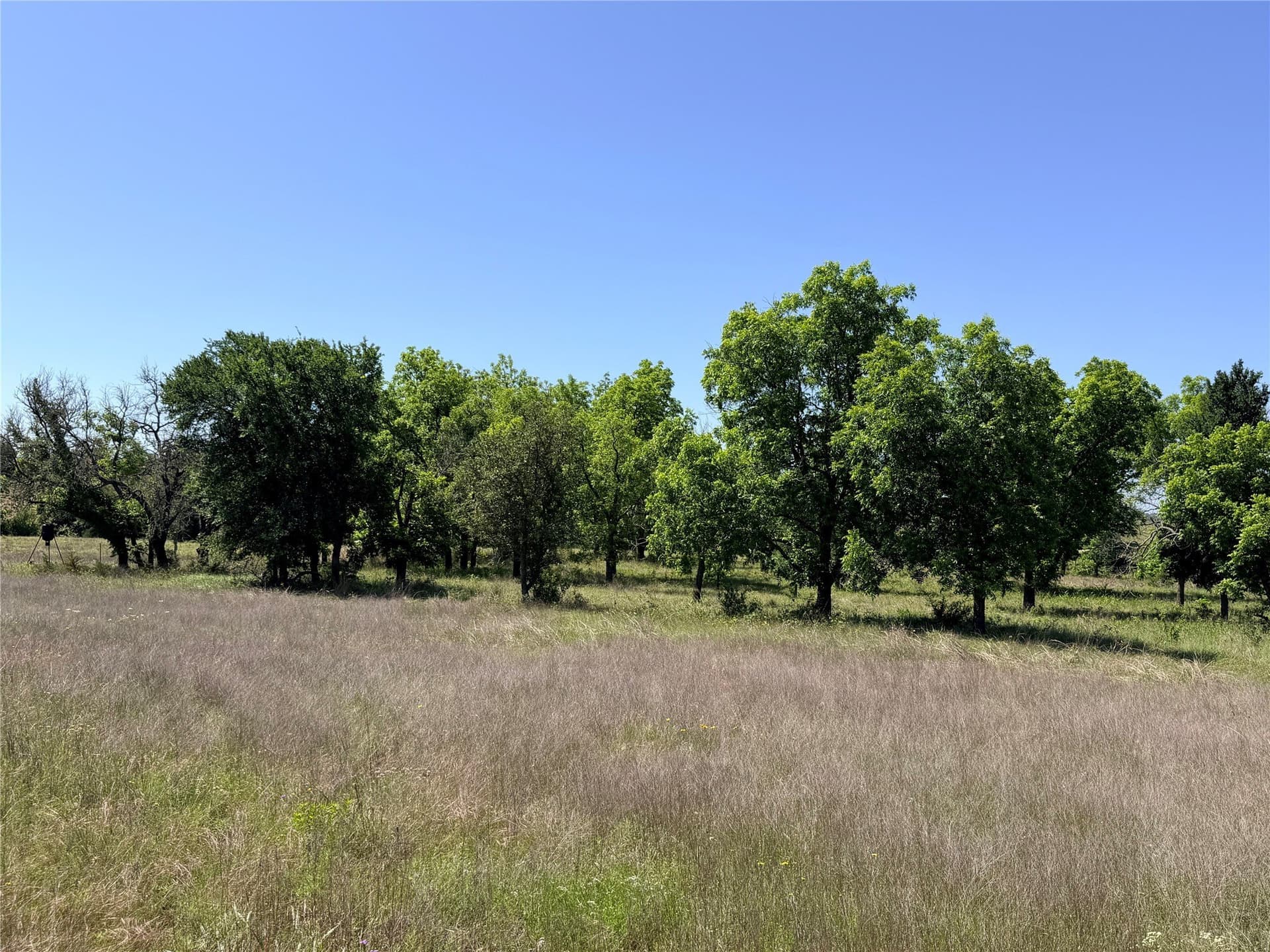 17.1 acres in Mills County gallery image 3