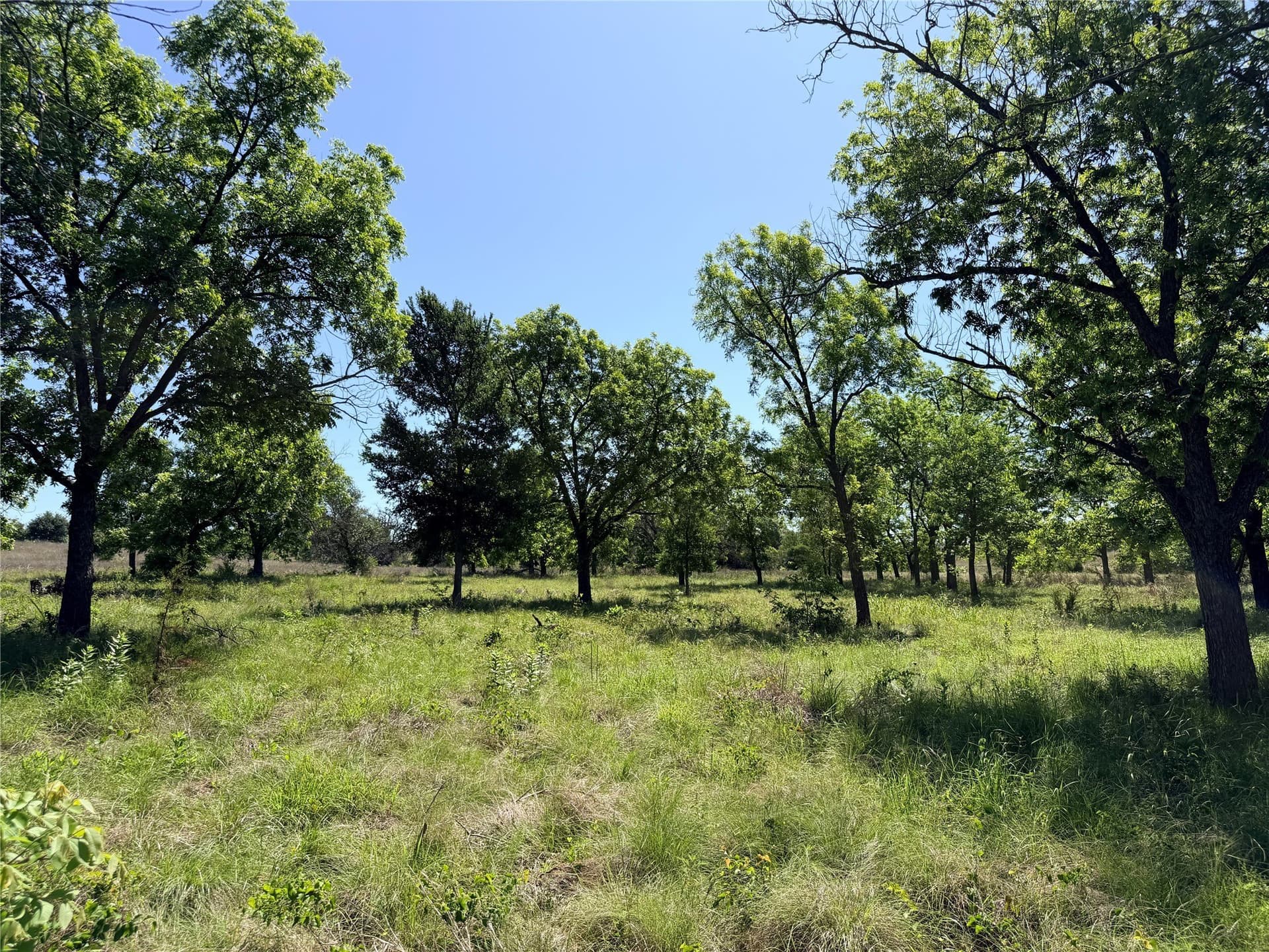 17.1 acres in Mills County - photo 6