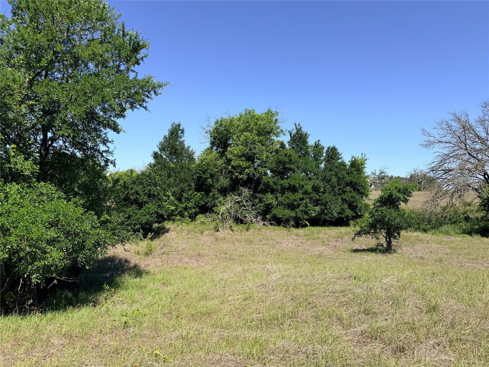17.1 acres in Mills County - photo 7