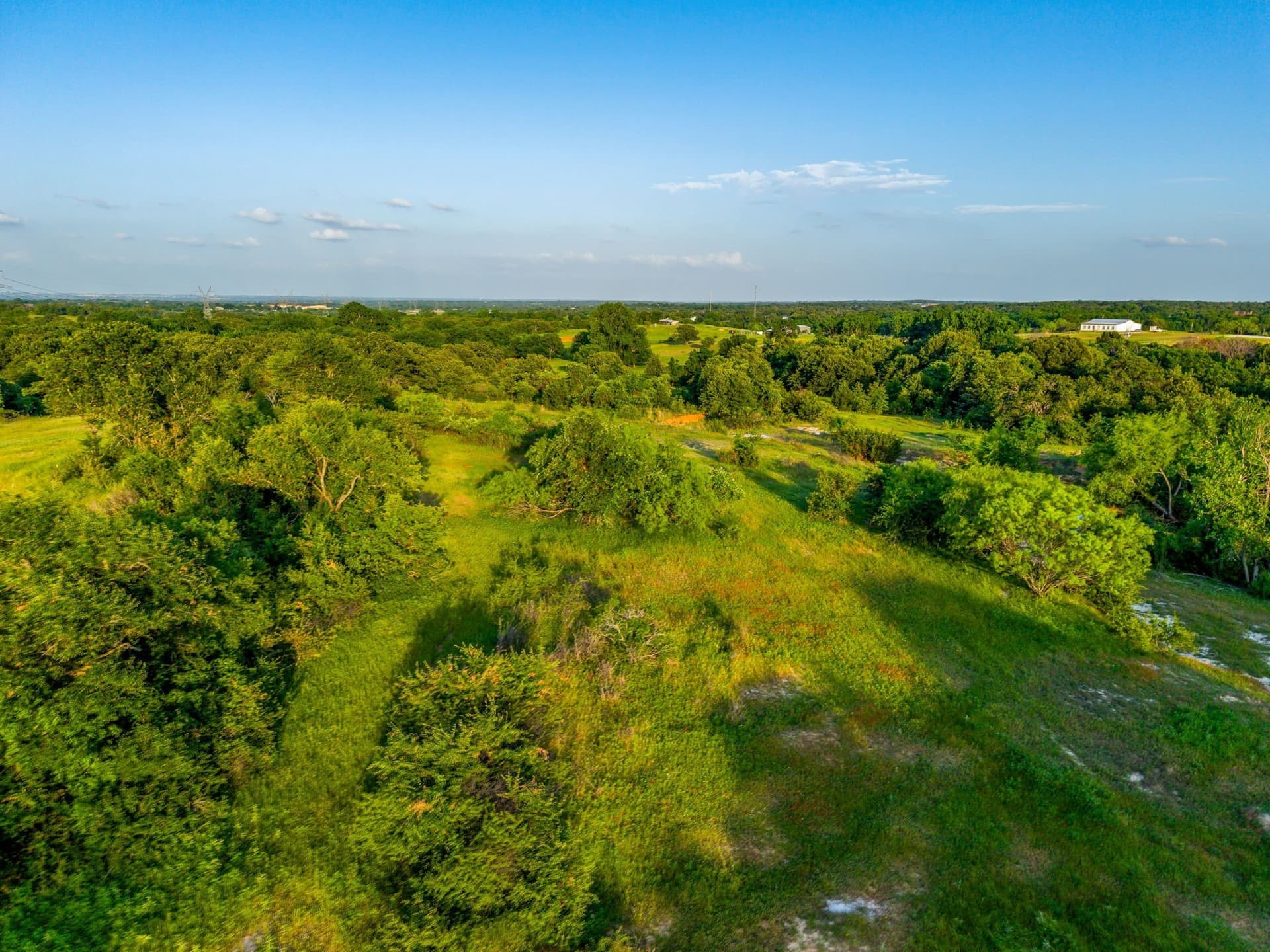 39.24 acres in Wise County - photo 17