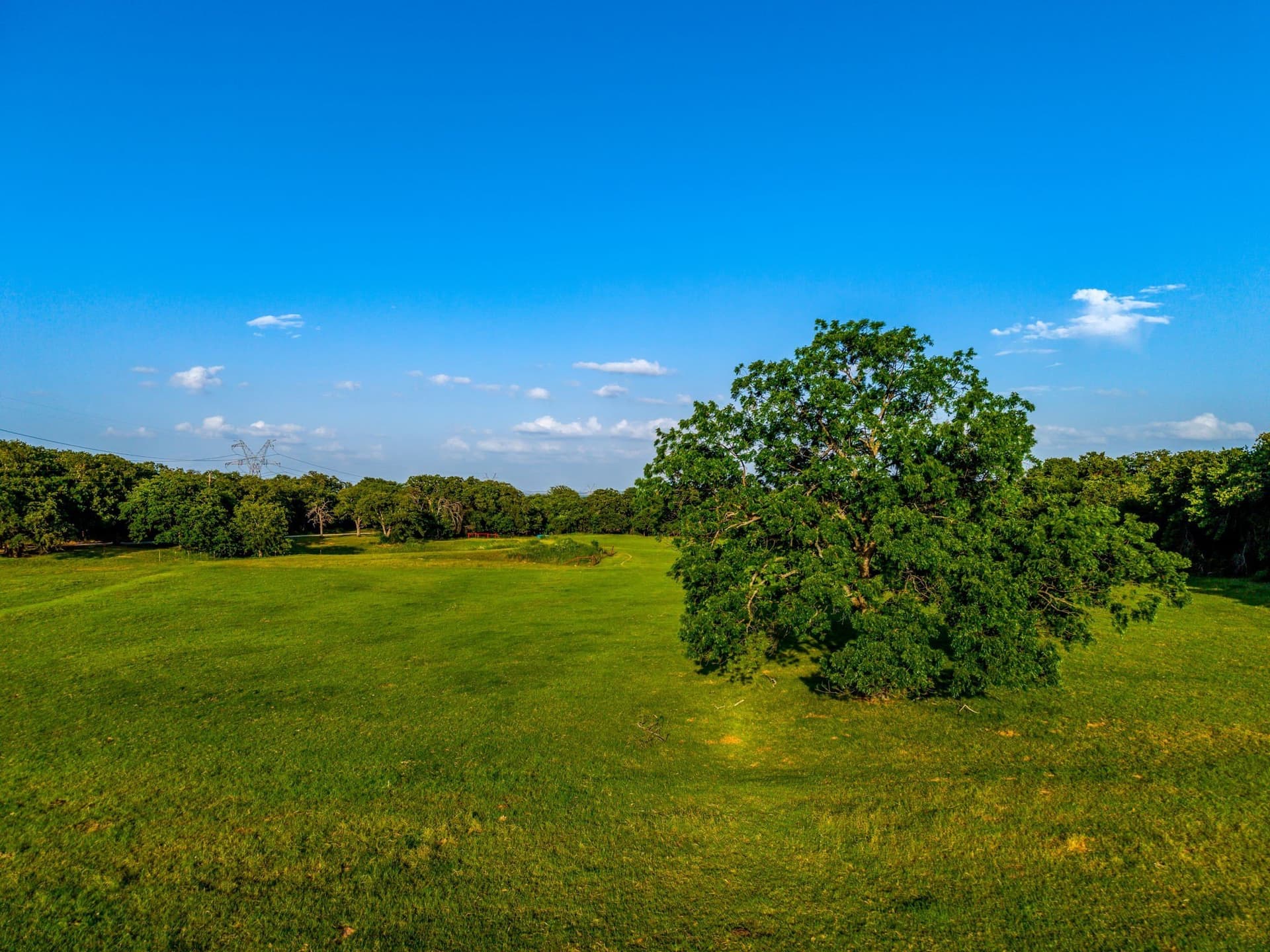 39.24 acres in Wise County - photo 18