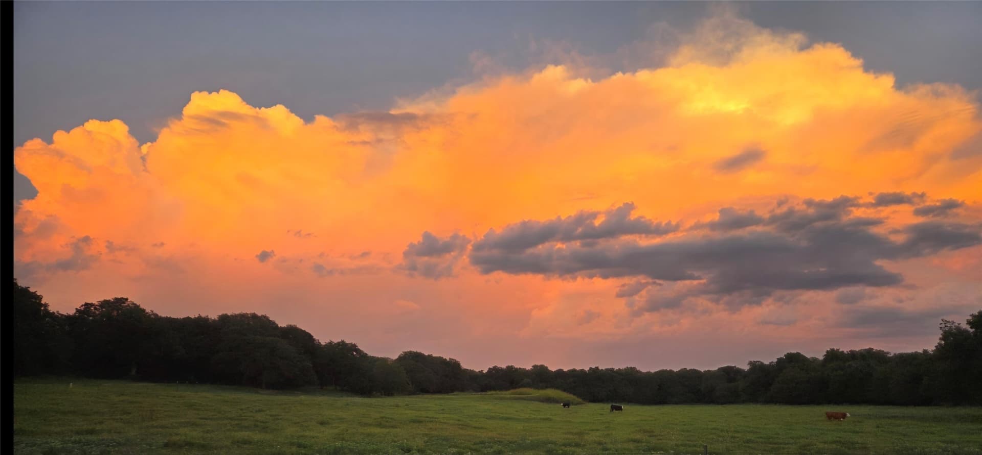 39.24 acres in Wise County - photo 26