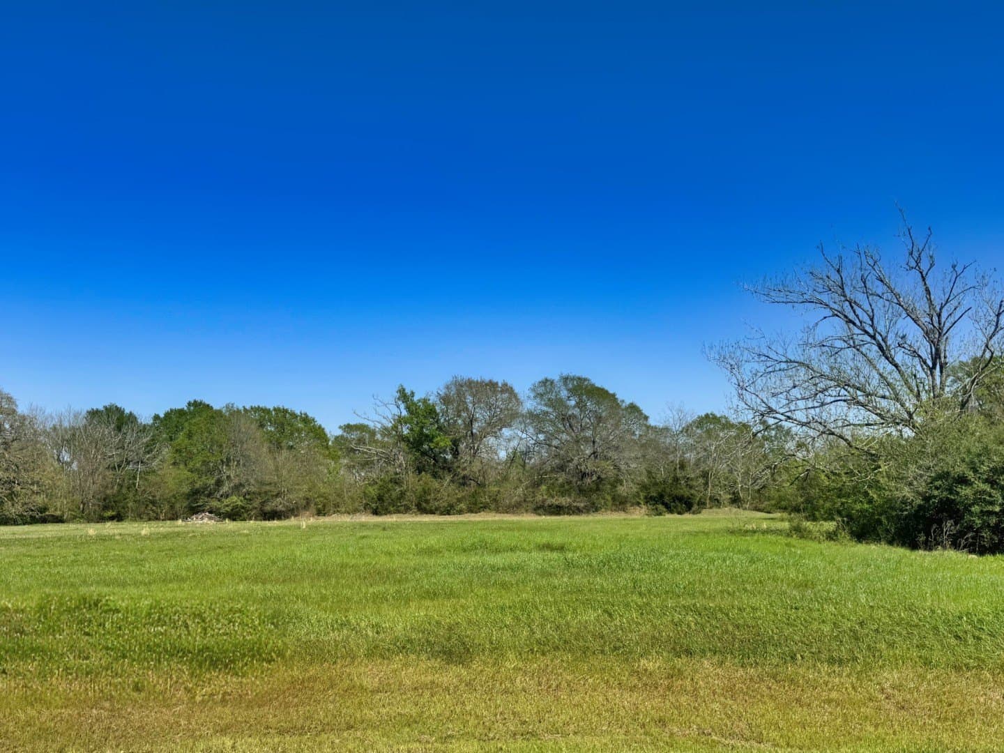 2.44 acres in Grimes County