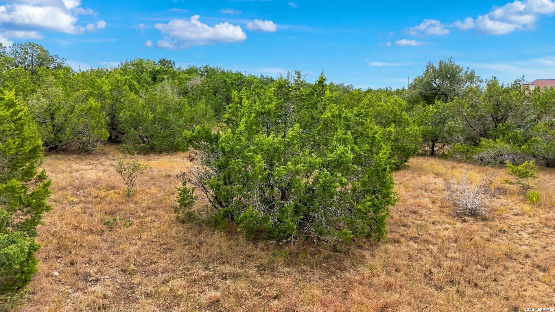 3 acres in Comal County - photo 9