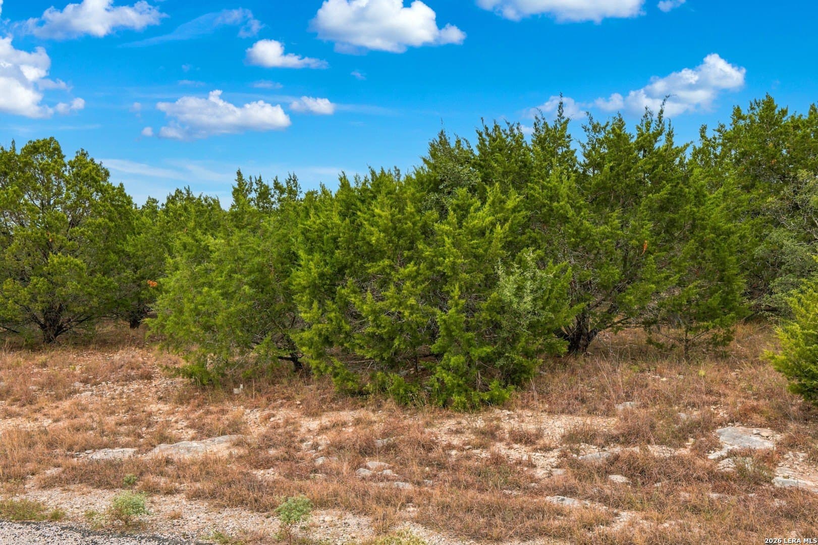 3 acres in Comal County - photo 8