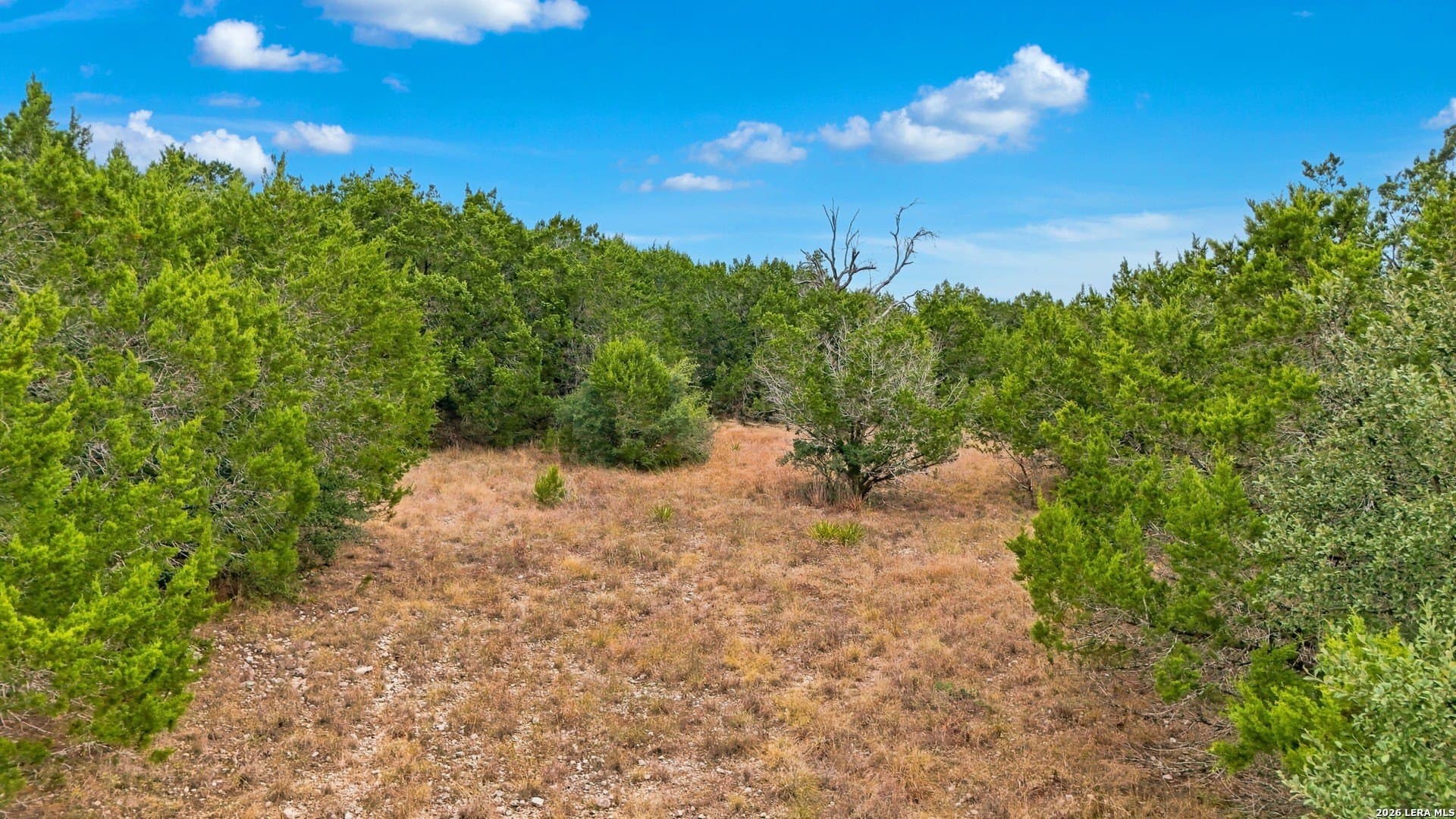3 acres in Comal County - photo 11