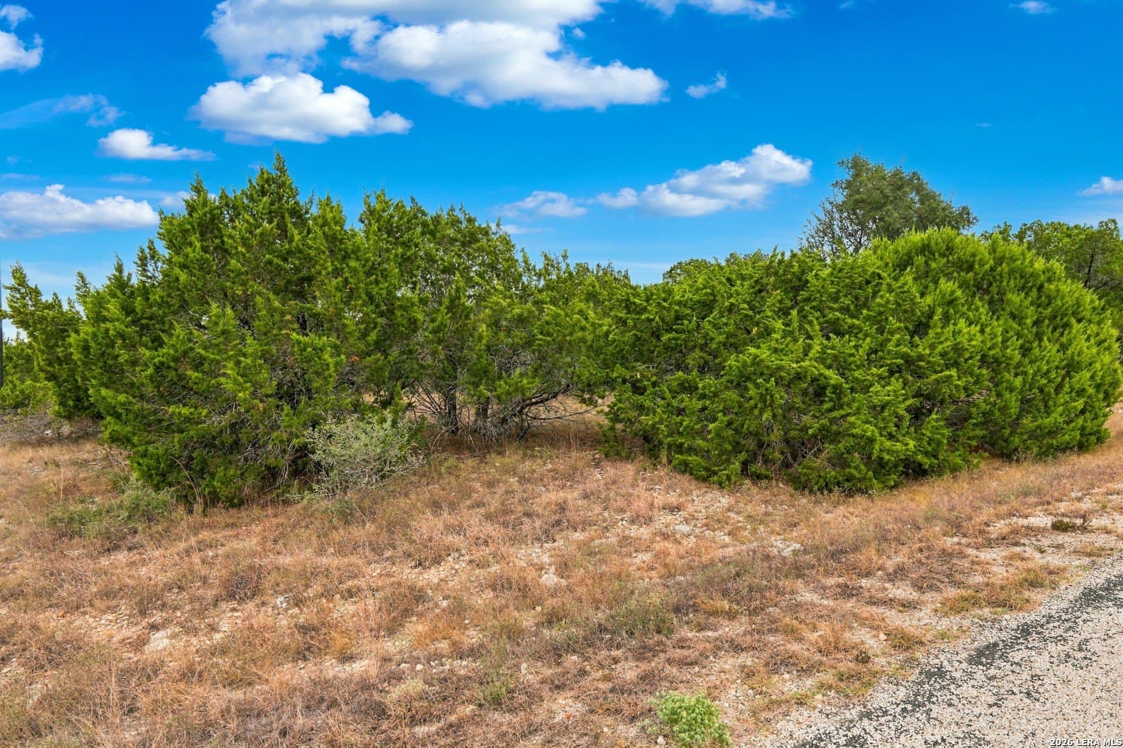 3 acres in Comal County - photo 6