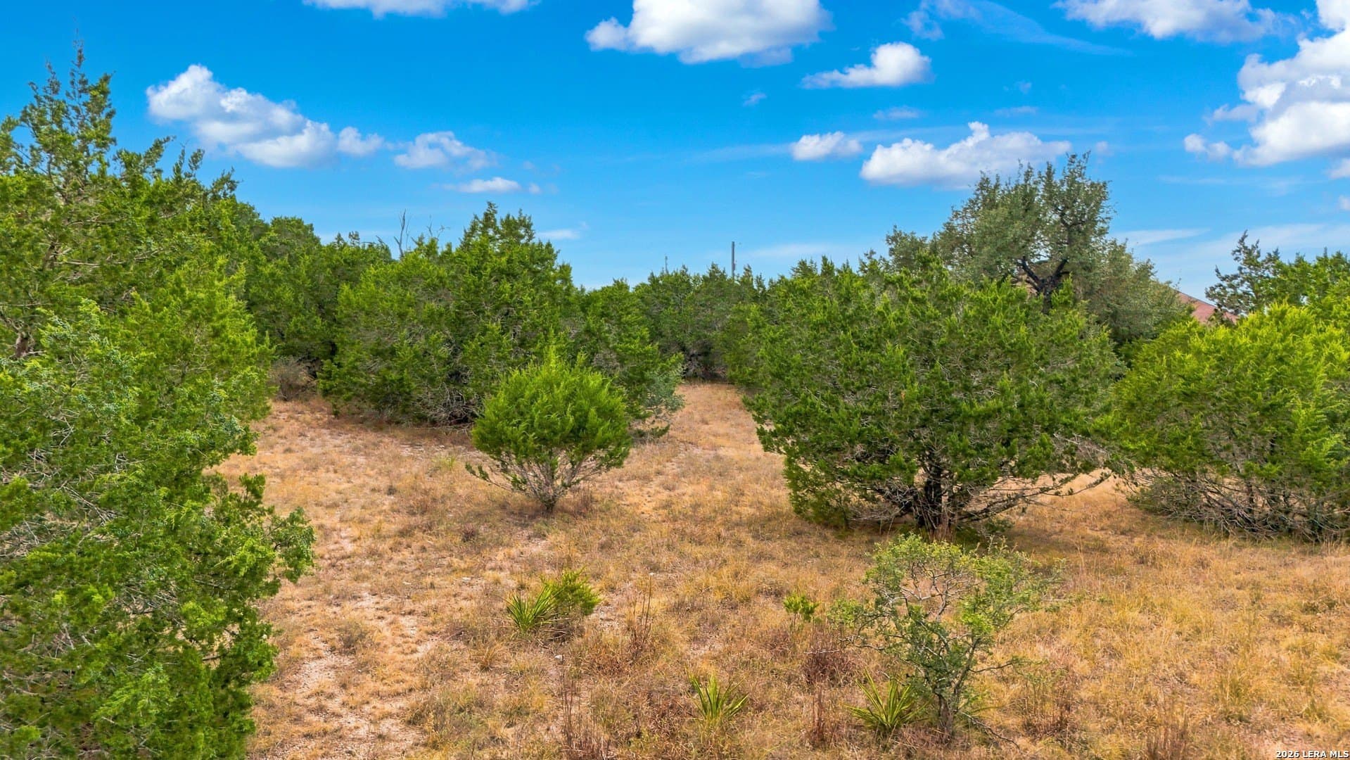 3 acres in Comal County - photo 10