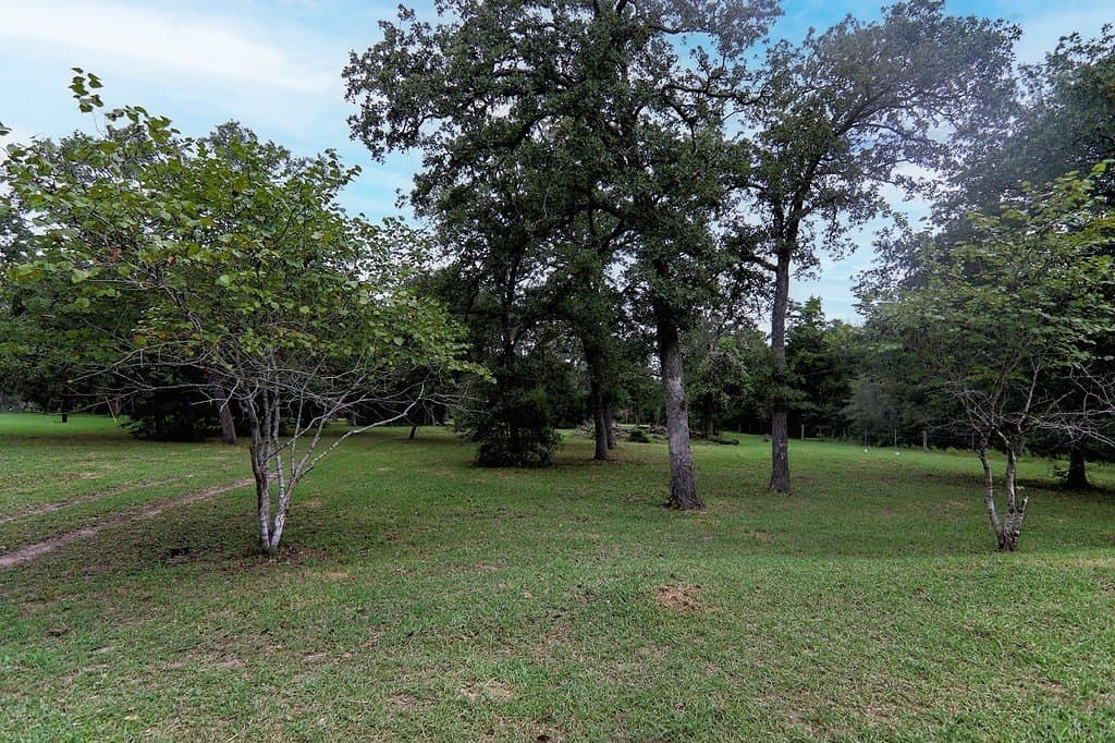 14.77 acres in Fayette County gallery image 4