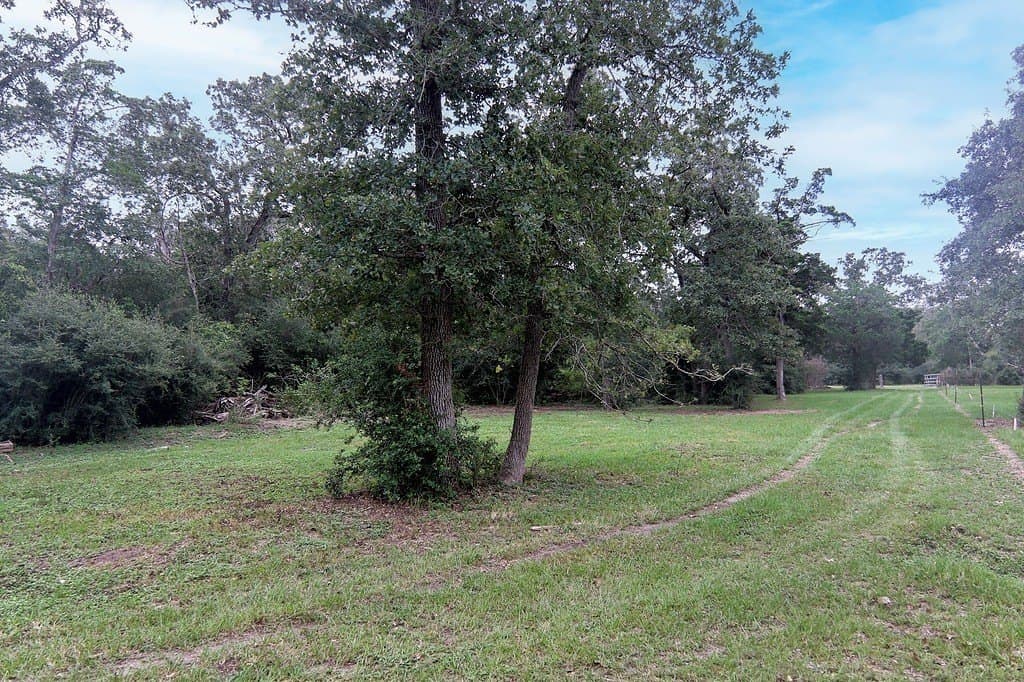 14.77 acres in Fayette County gallery image 3