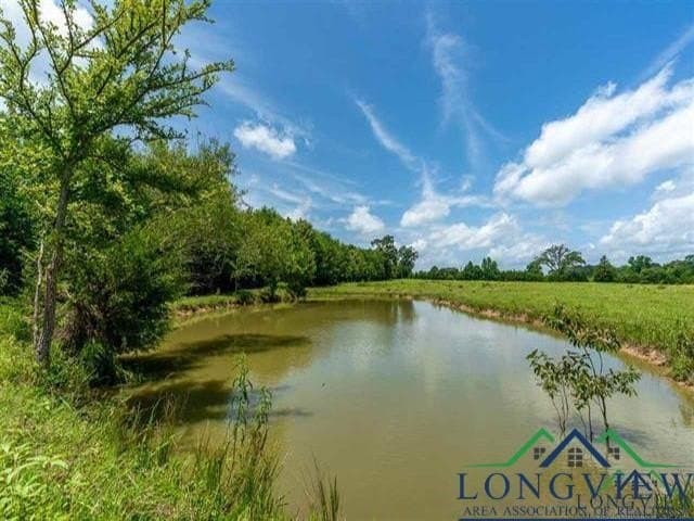 16.28 acres in Wood County gallery image 3