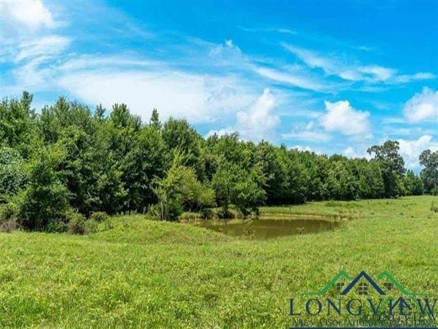 16.28 acres in Wood County gallery image 4