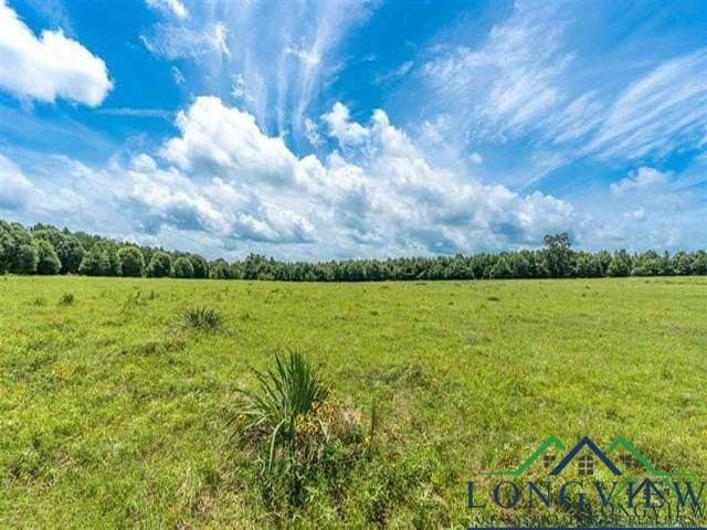 16.28 acres in Wood County gallery image 2